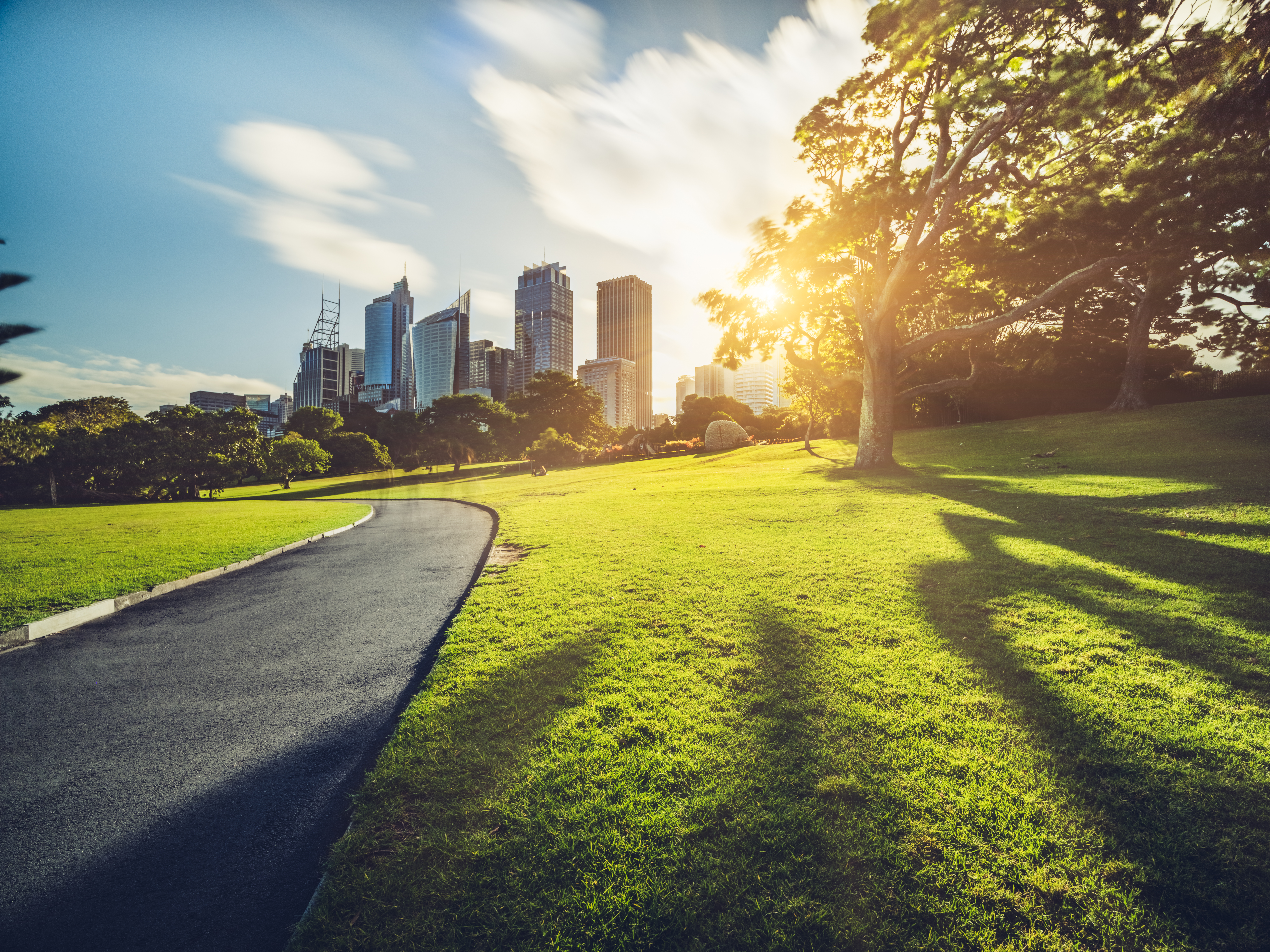 Walkway in the Royal Botanic Gardens leads to skyscrapers in the Sydney, Australia
