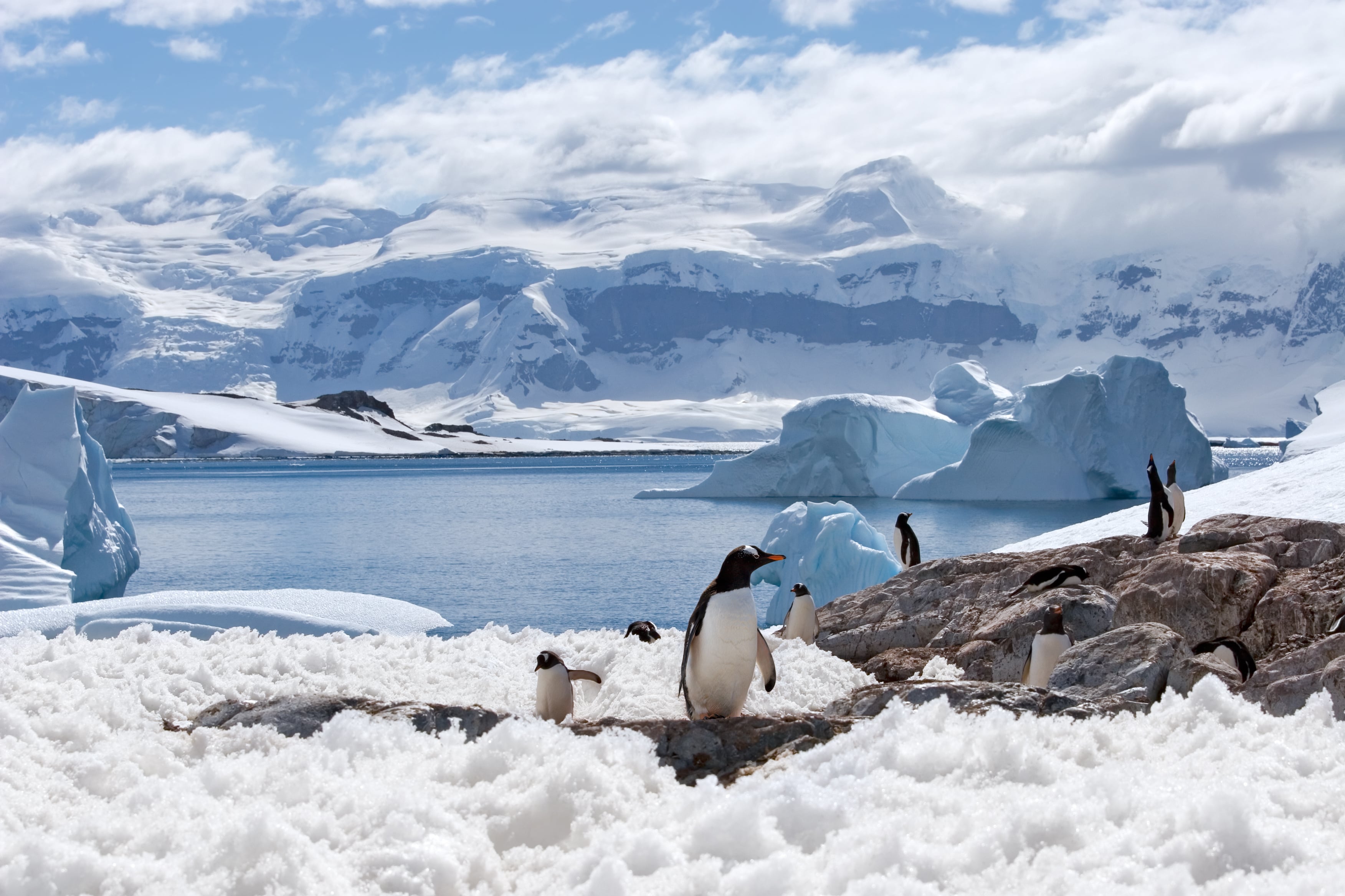 Antarctic peninsula