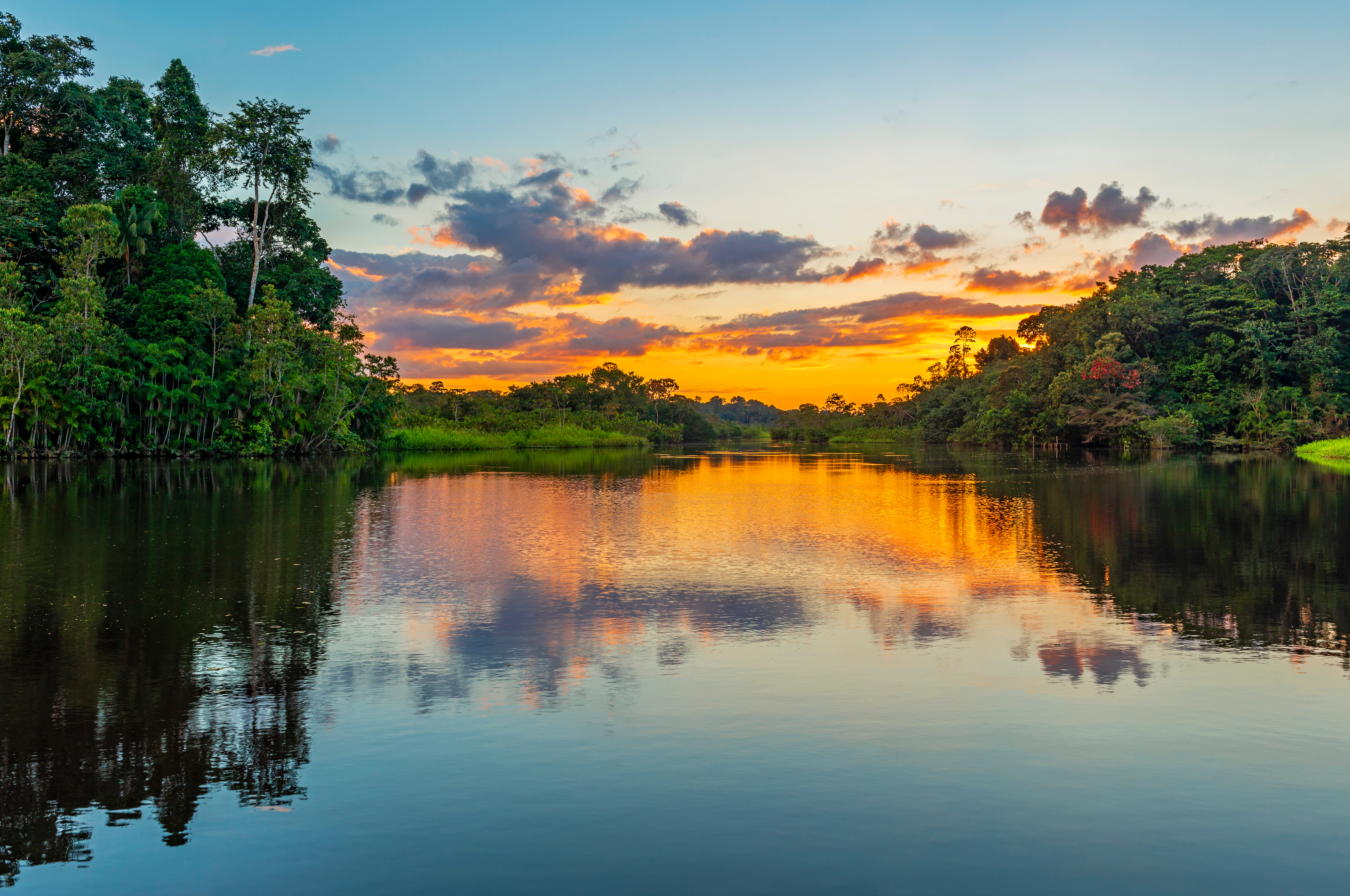 Reflection of a sunset by lagoon inside the Amazon Rainforest