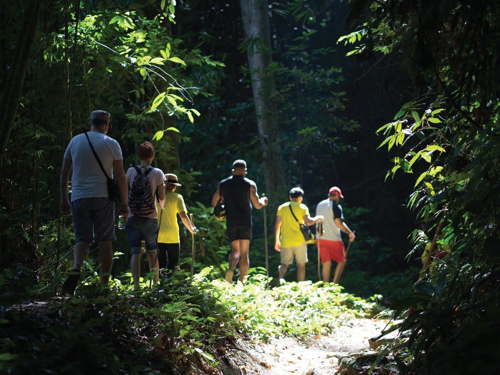 A group of travellers in hiking gear trekking through a lush rainforest in Thailand.