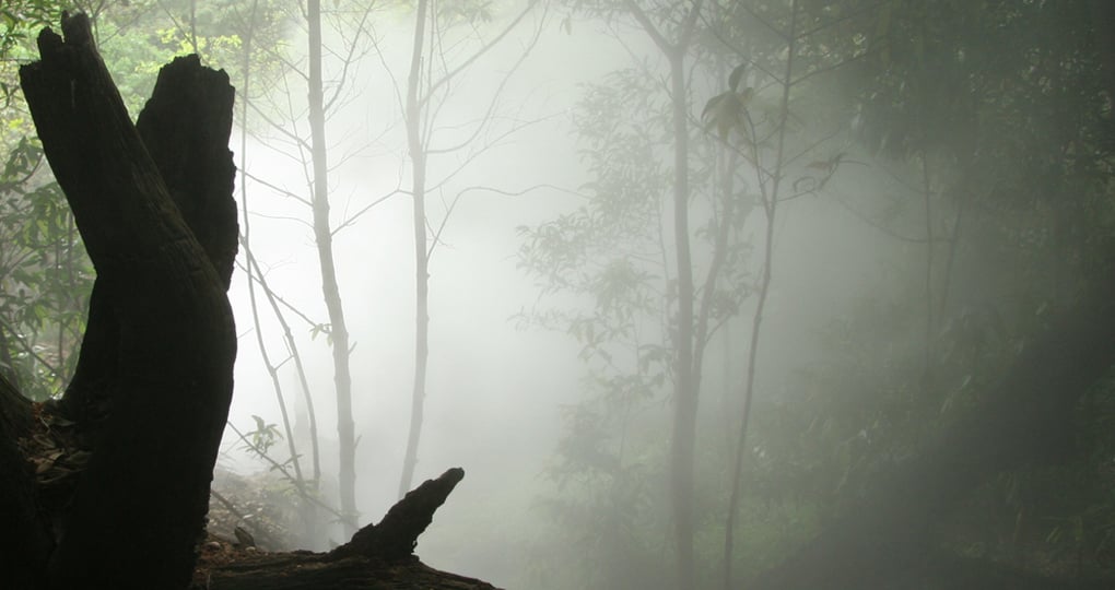 Rincon de la Vieja National Park is a must visit on your Costa Rica vacation