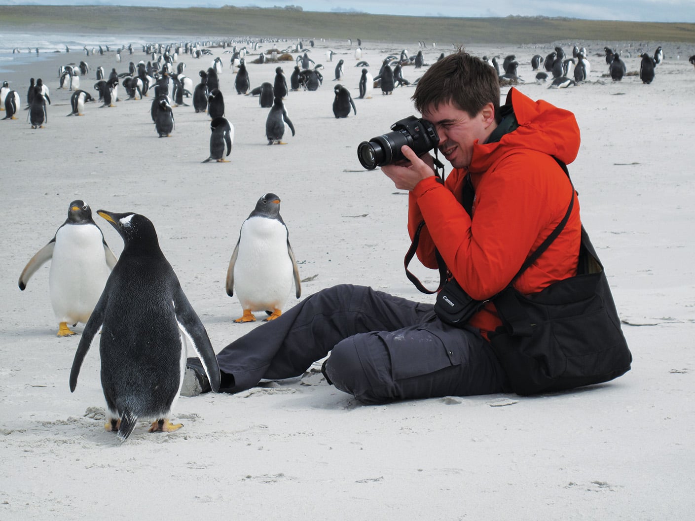 Adam Hodge photographing penguins on the Falkland Islands