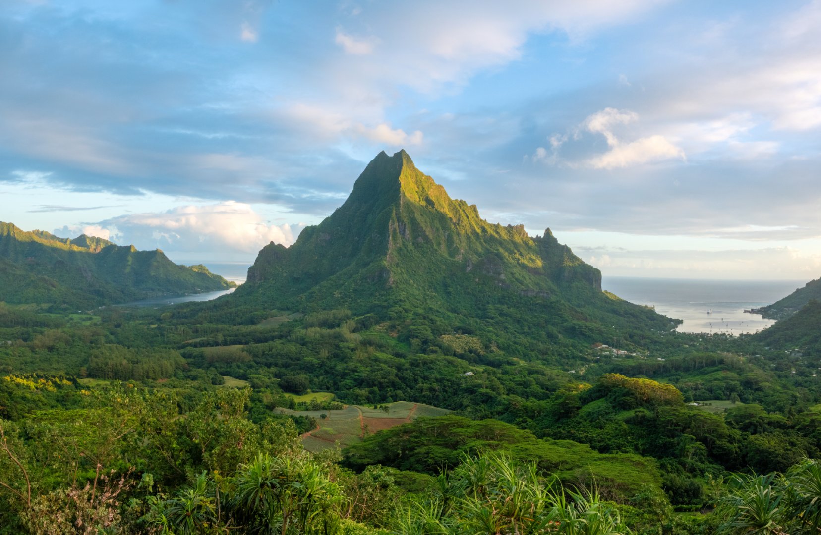 Aerial view of Opunohu Bay and Valley, Moorea, French Polynesia