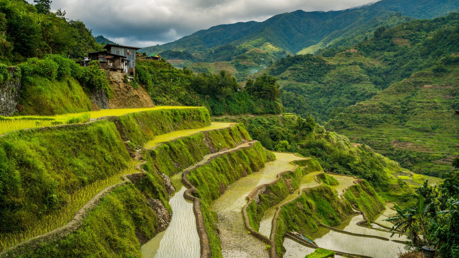 Banaue Rice Terraces, Philippines