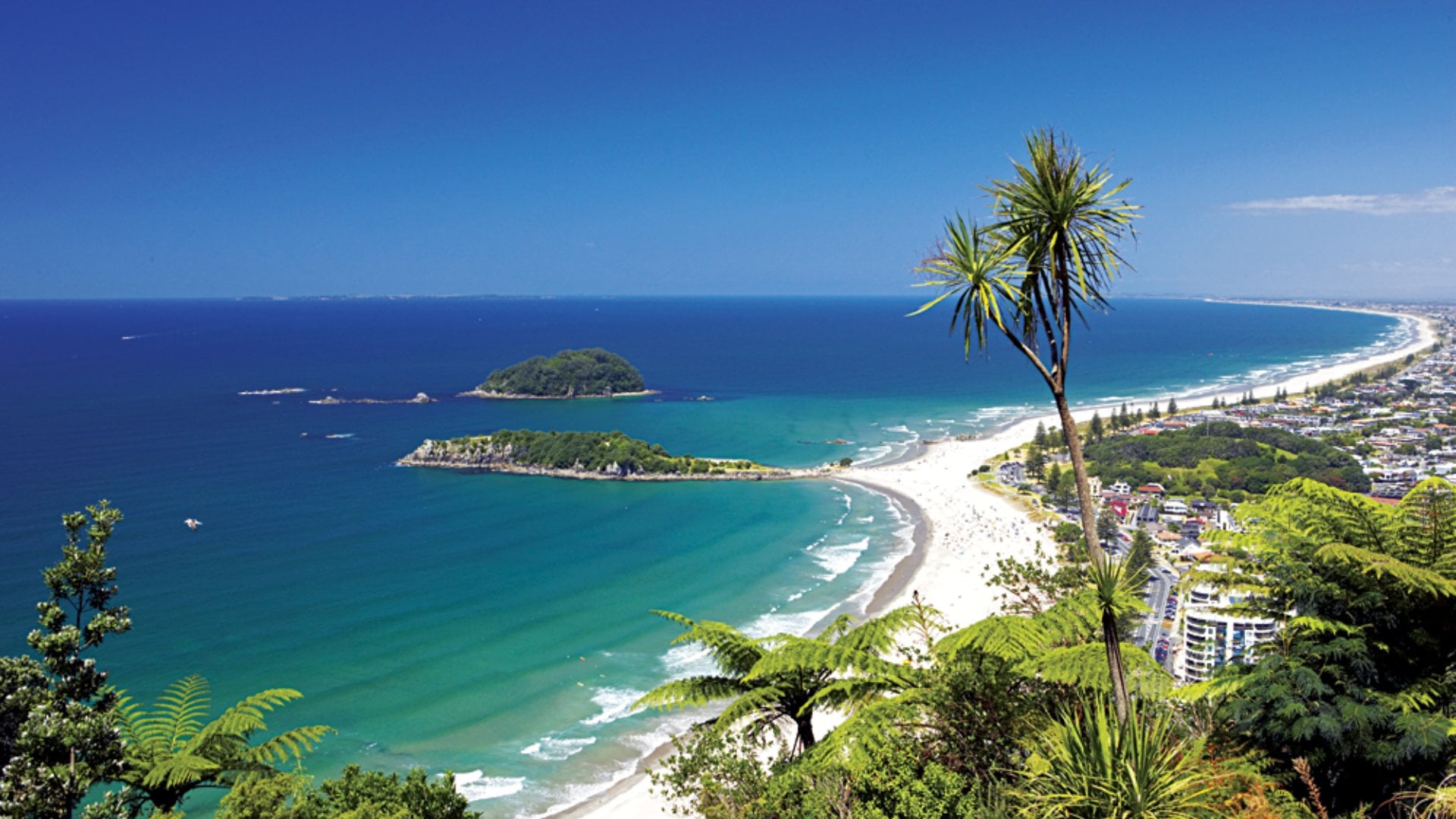 Beach at Mount Maunganui, Bay of Plenty. New Zealand