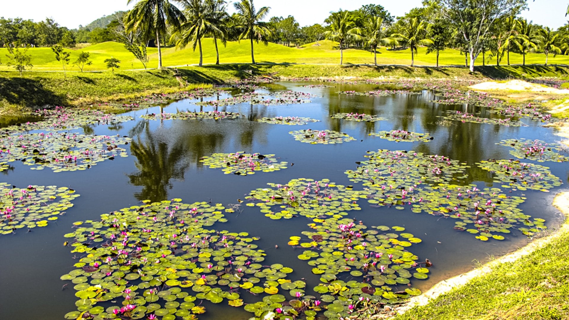 Beautiful lake in the middle of a scenic golf course near Pattaya, Thailand