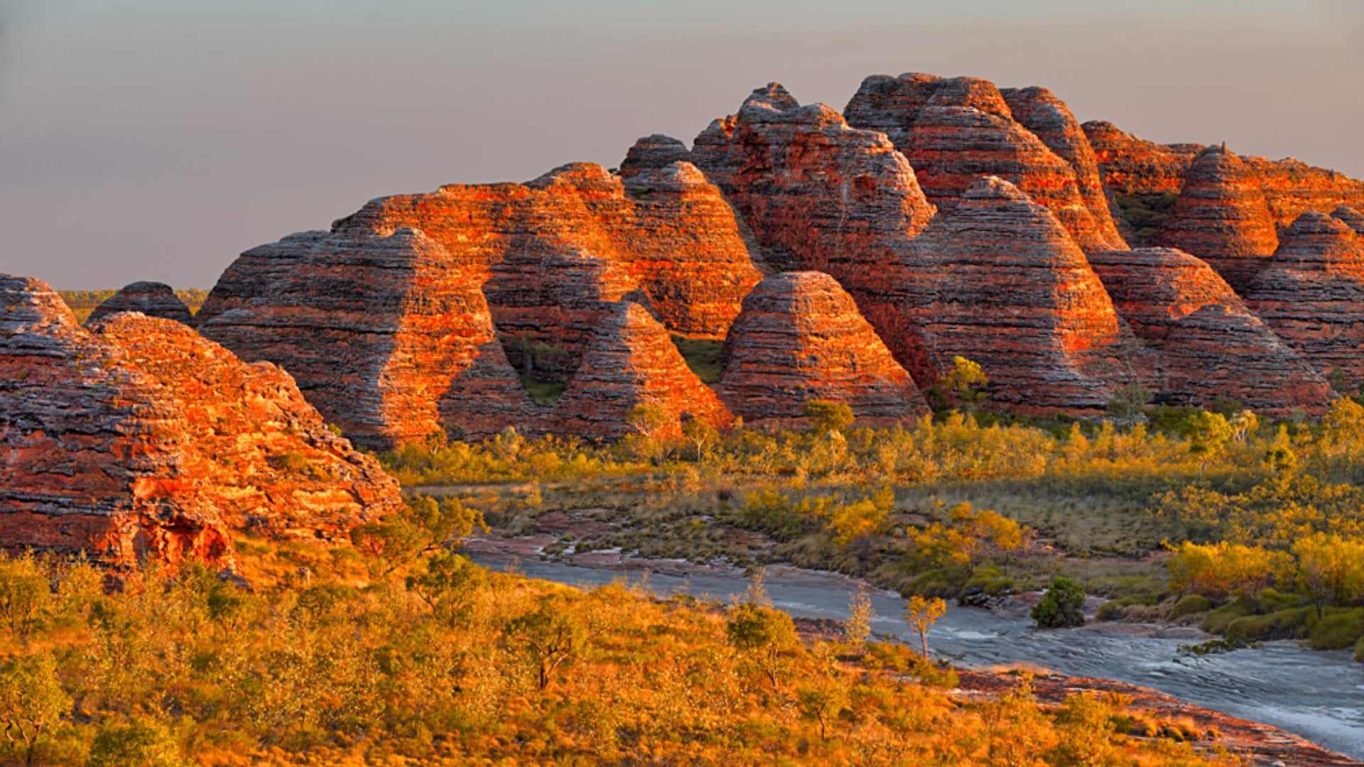 Beehives and Piccaninny Creek in warm evening light, Bungle Bungles National Park, Western Australia, Australia