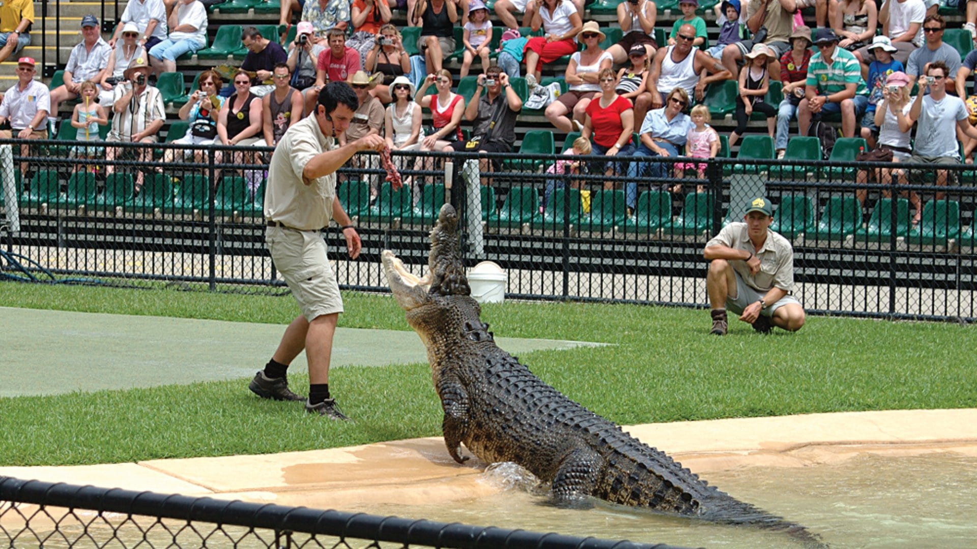 Crocodile Display at Australia Zoo, Queensland, Australia