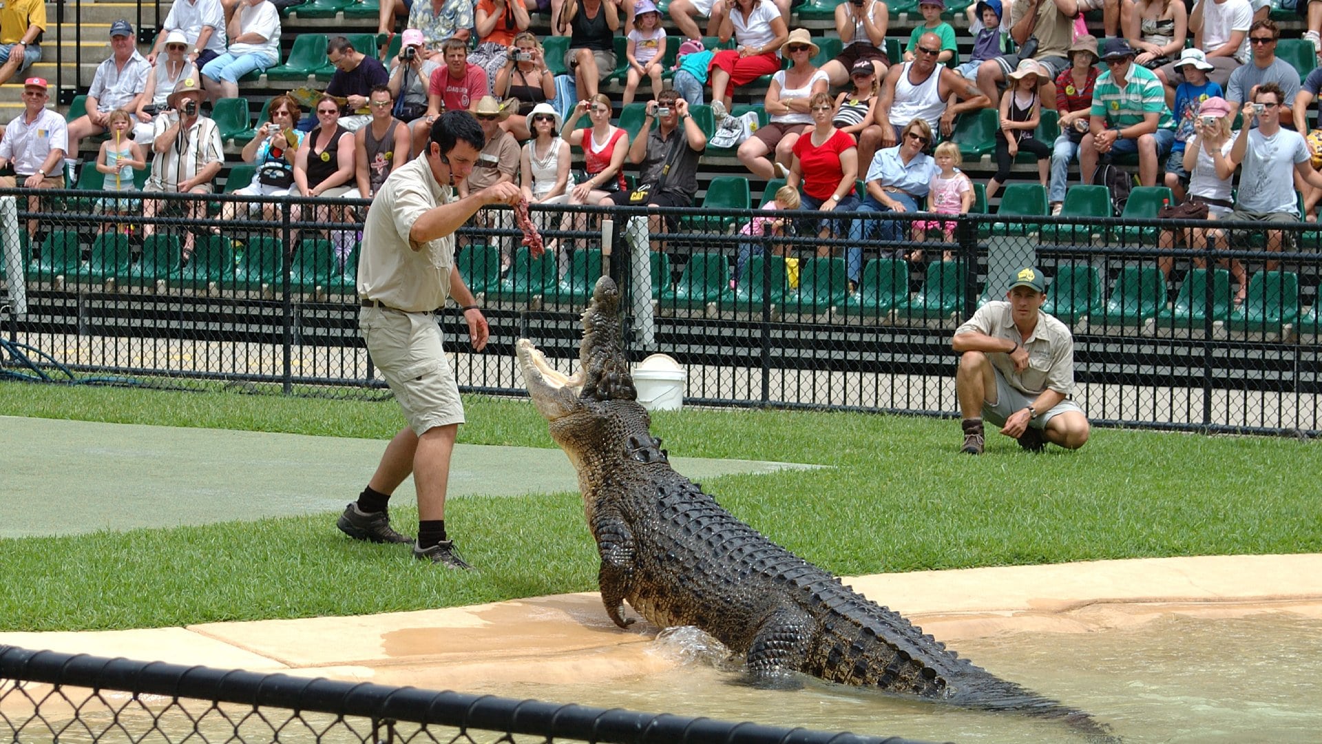 Crocodile display at Australia Zoo, after the death of Steve Irwin