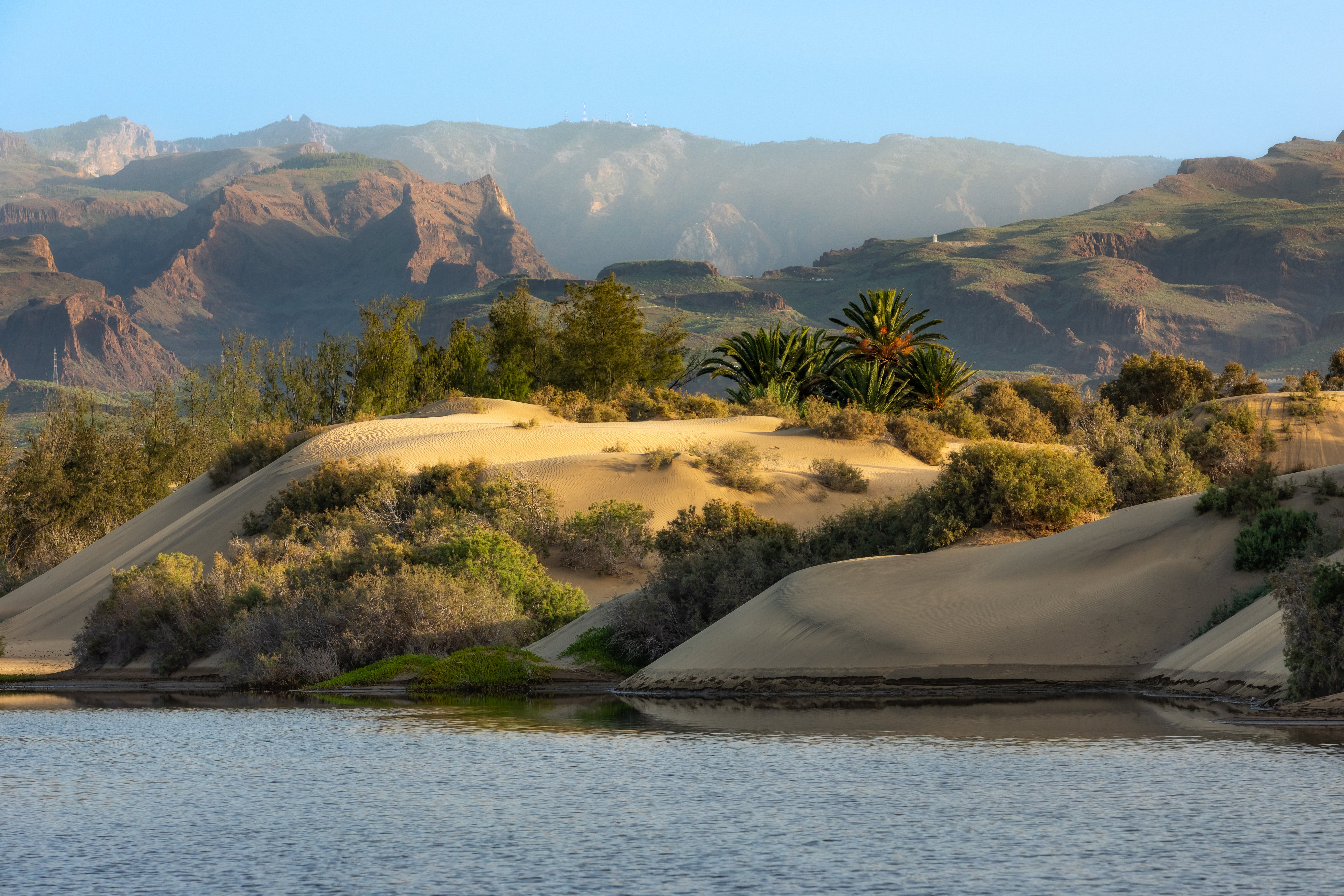 Landscape view of the Maspalomas Dunes in Gran Canaria, along the shoreline.