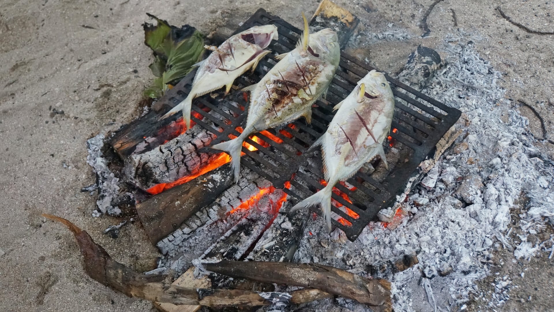 Fresh fish on the barbecue