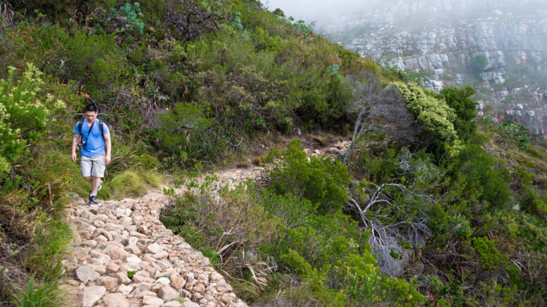 Hiker Climbing Table Mountain via Platteklip Gorge, Cape Town, South Africa