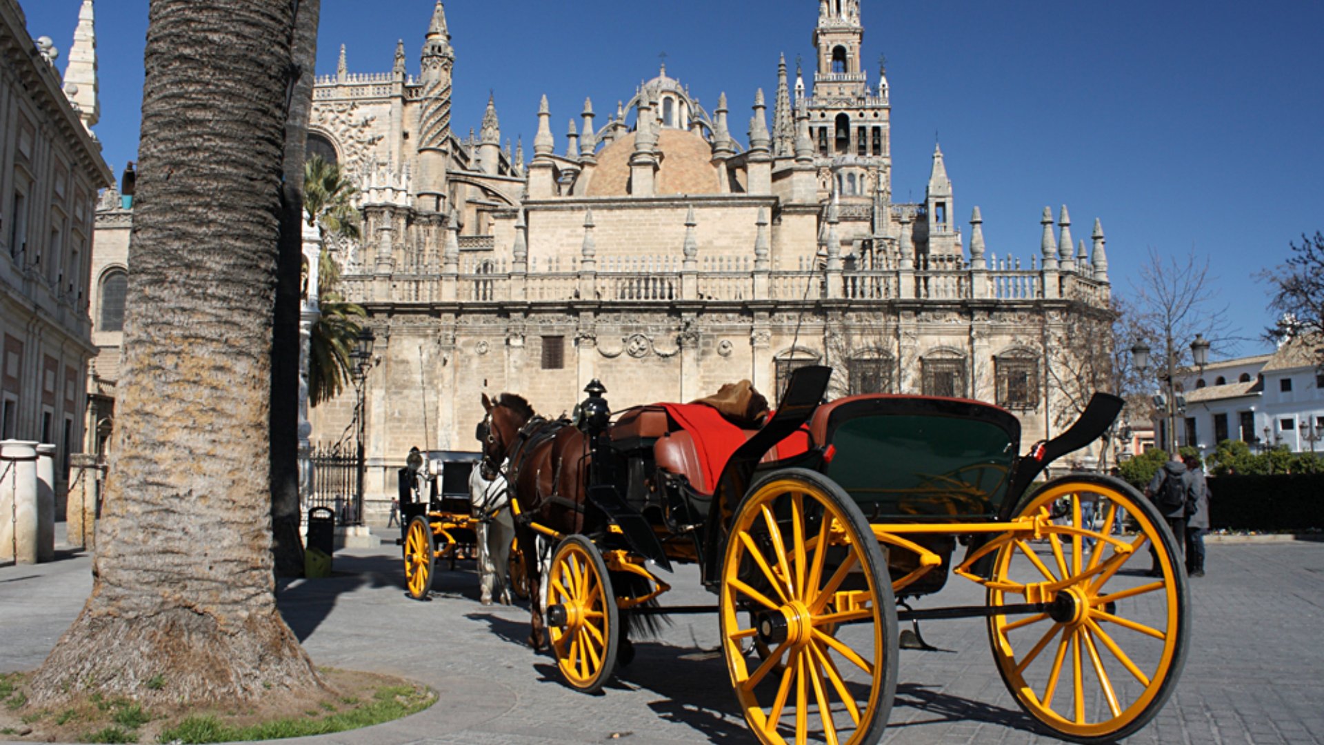 Horse Driven Coach in Front of Cathedral in Seville, Andalusia, Spain