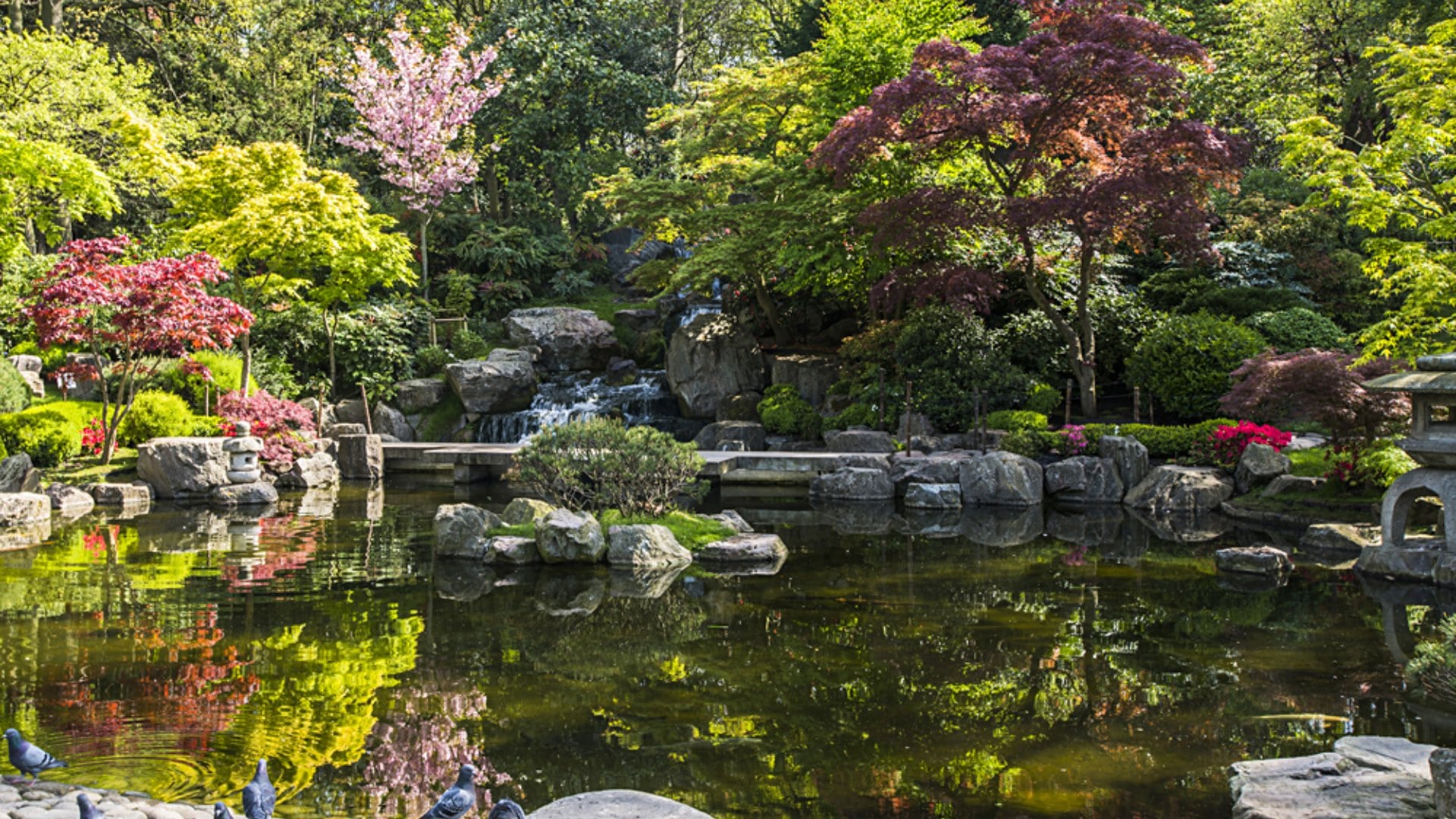 Kyoto Garden in Holland Park, London, England, UK (United Kingdom)