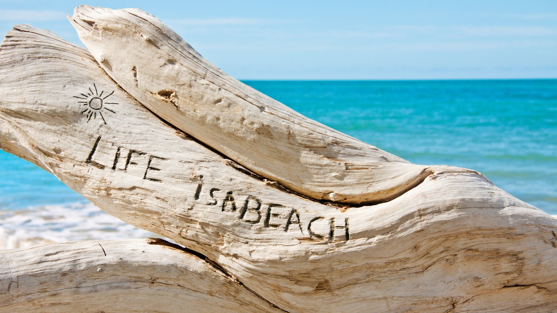 Life is a beach, written on a log on a beautiful tropical beach
