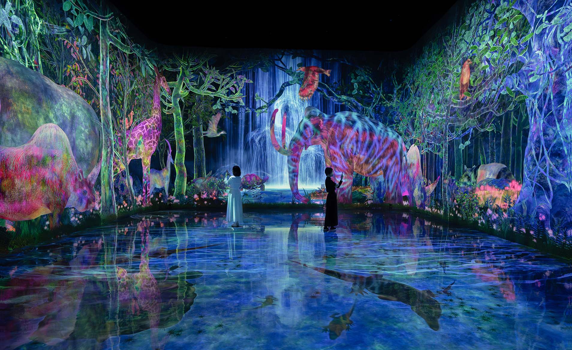 teamLab Planets exhibition in Tokyo
