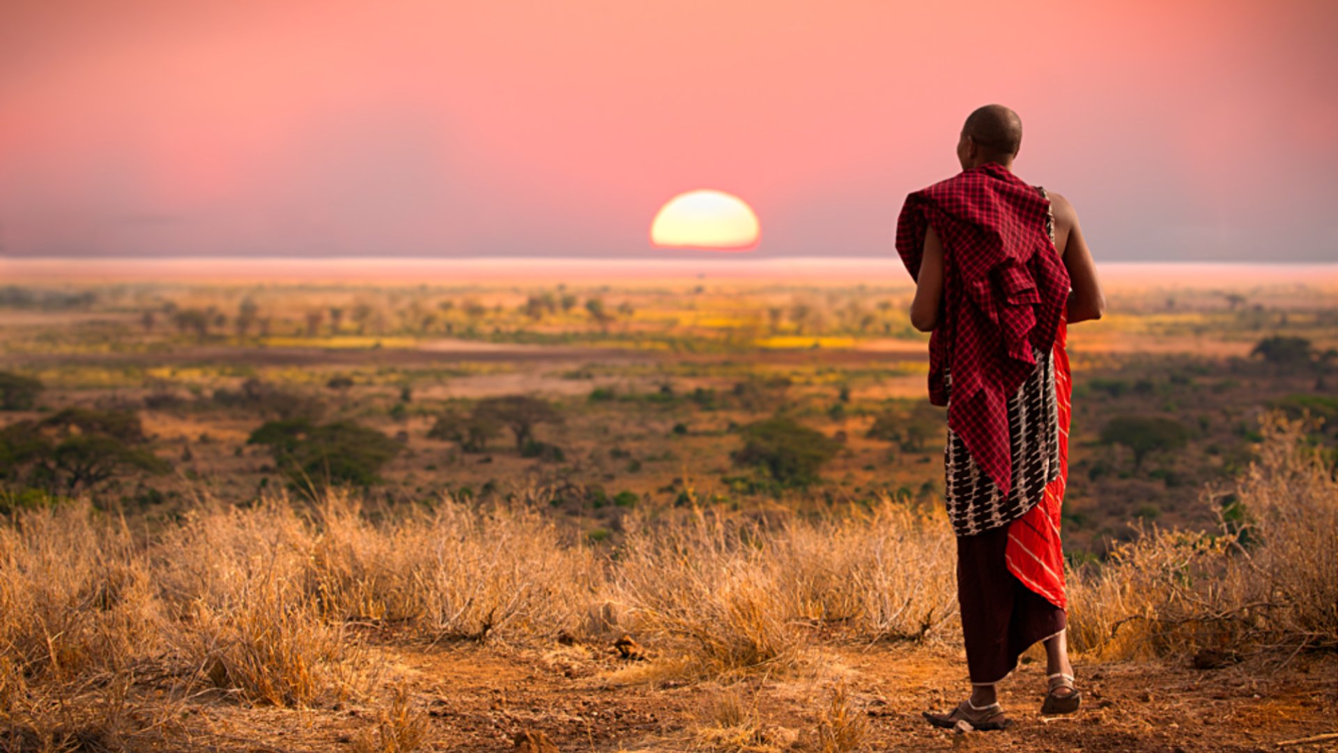 Masai (Maasai) Man in the Seregenti, Tanzania