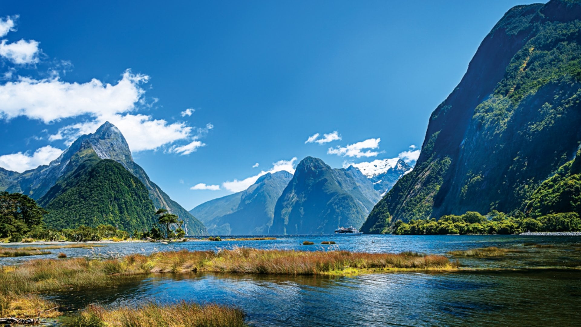 Milford Sound, Fiordland national park, South Island, New Zealand
