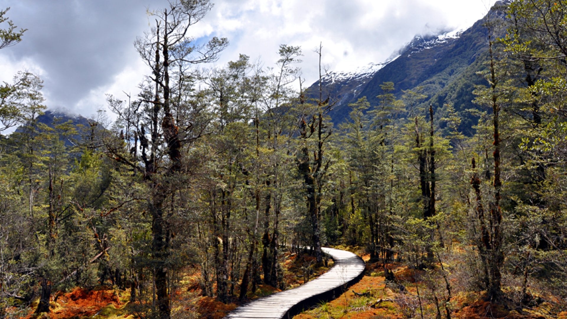 Milford Track, Fiordland National Park, South Island, New Zealand