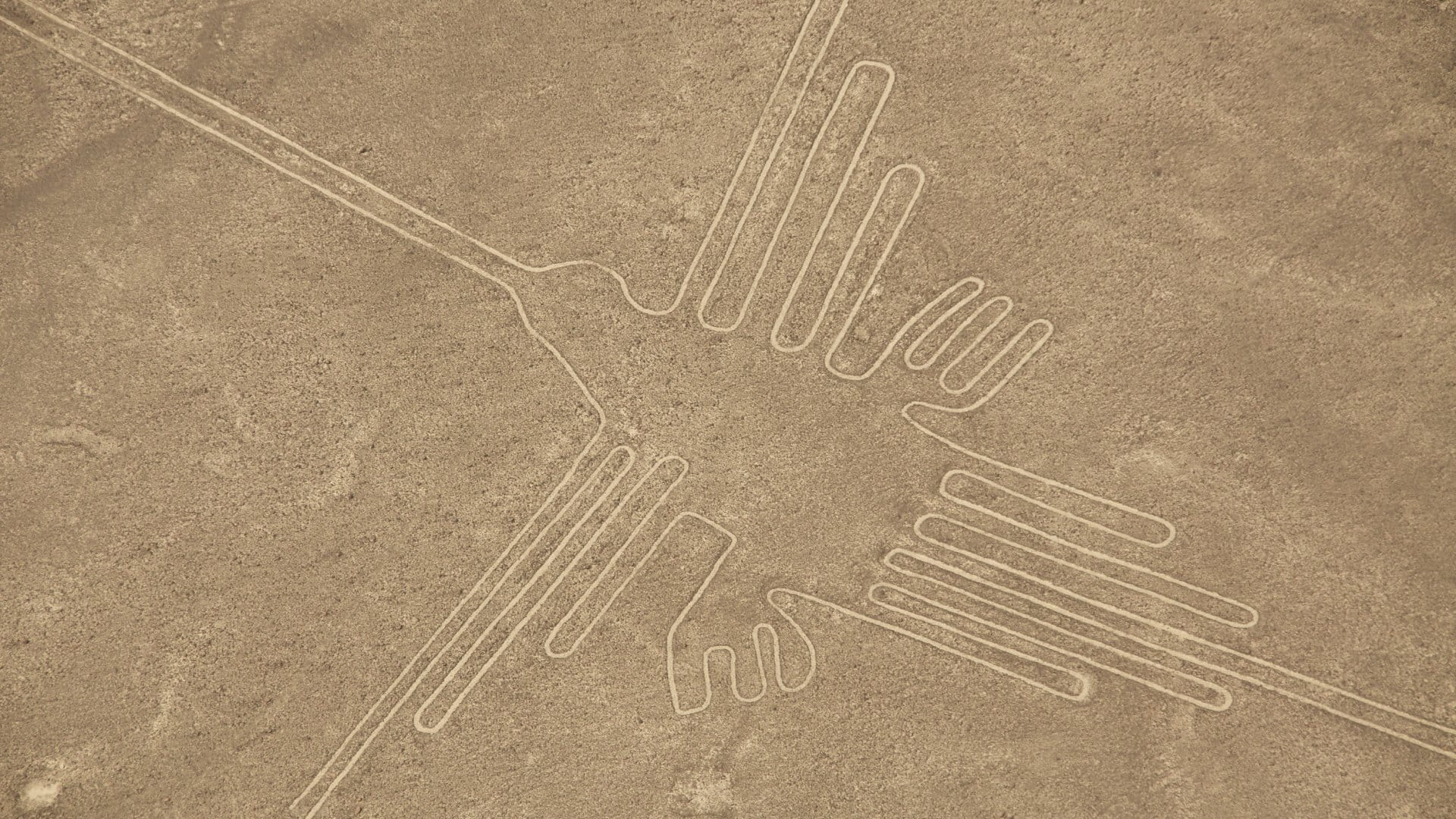 Nazca Lines