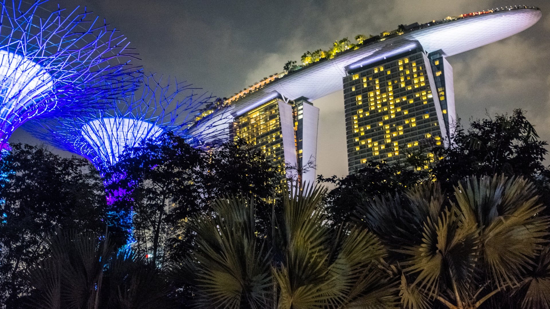 Night Shot of Gardens By the Bay Singapore