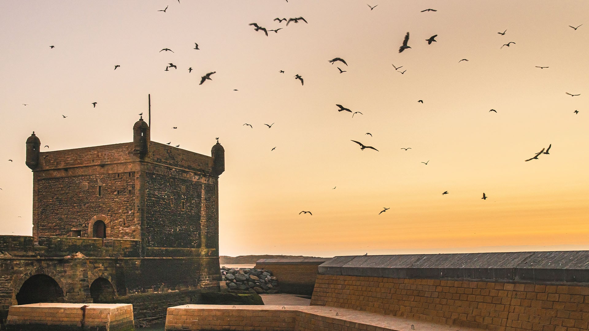 View of birds flying over a fortress in Essaouira in Morocco