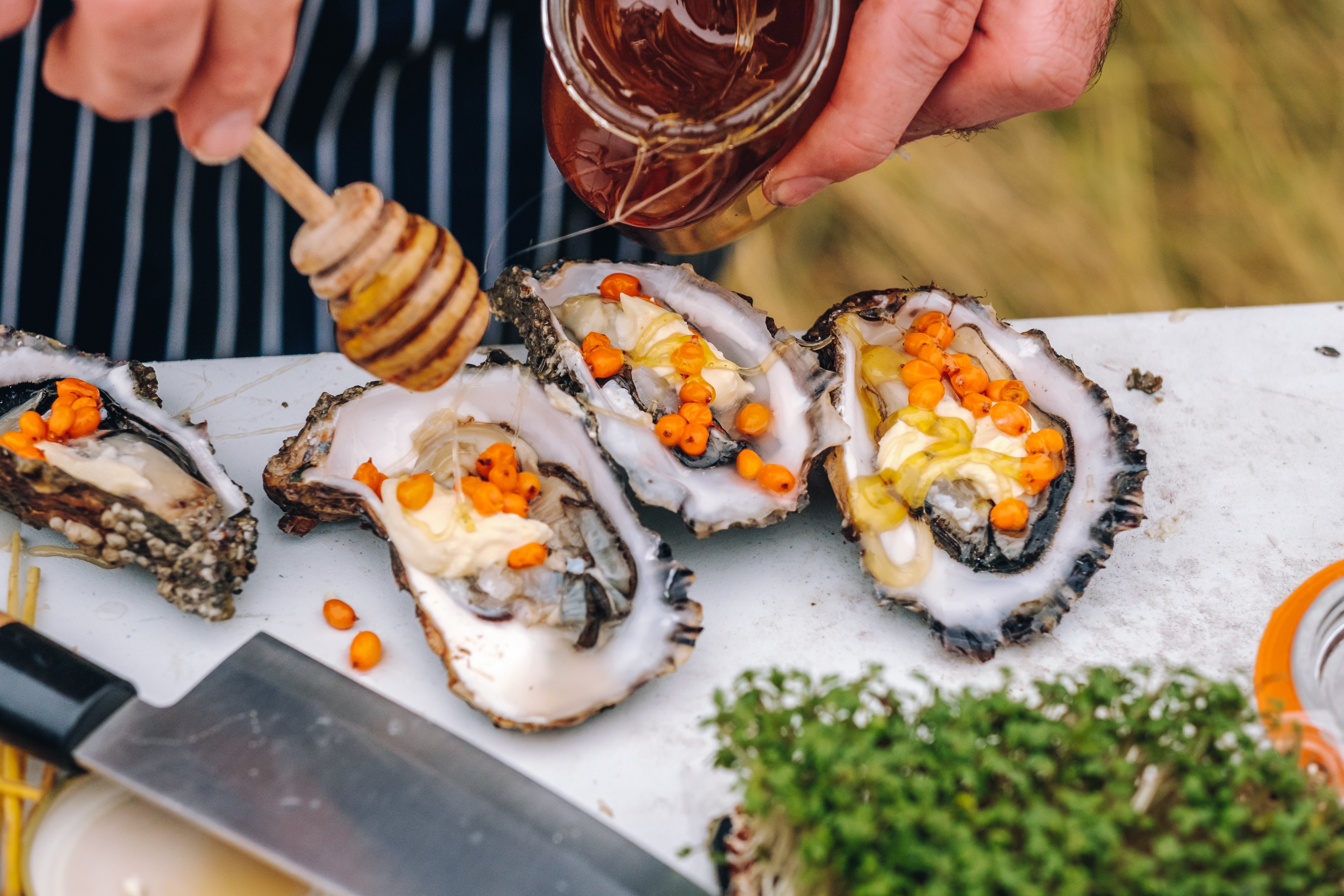A chef drizzling honey over a plate of oysters on an Oyster Safari at Wadden Sea , Denmark.