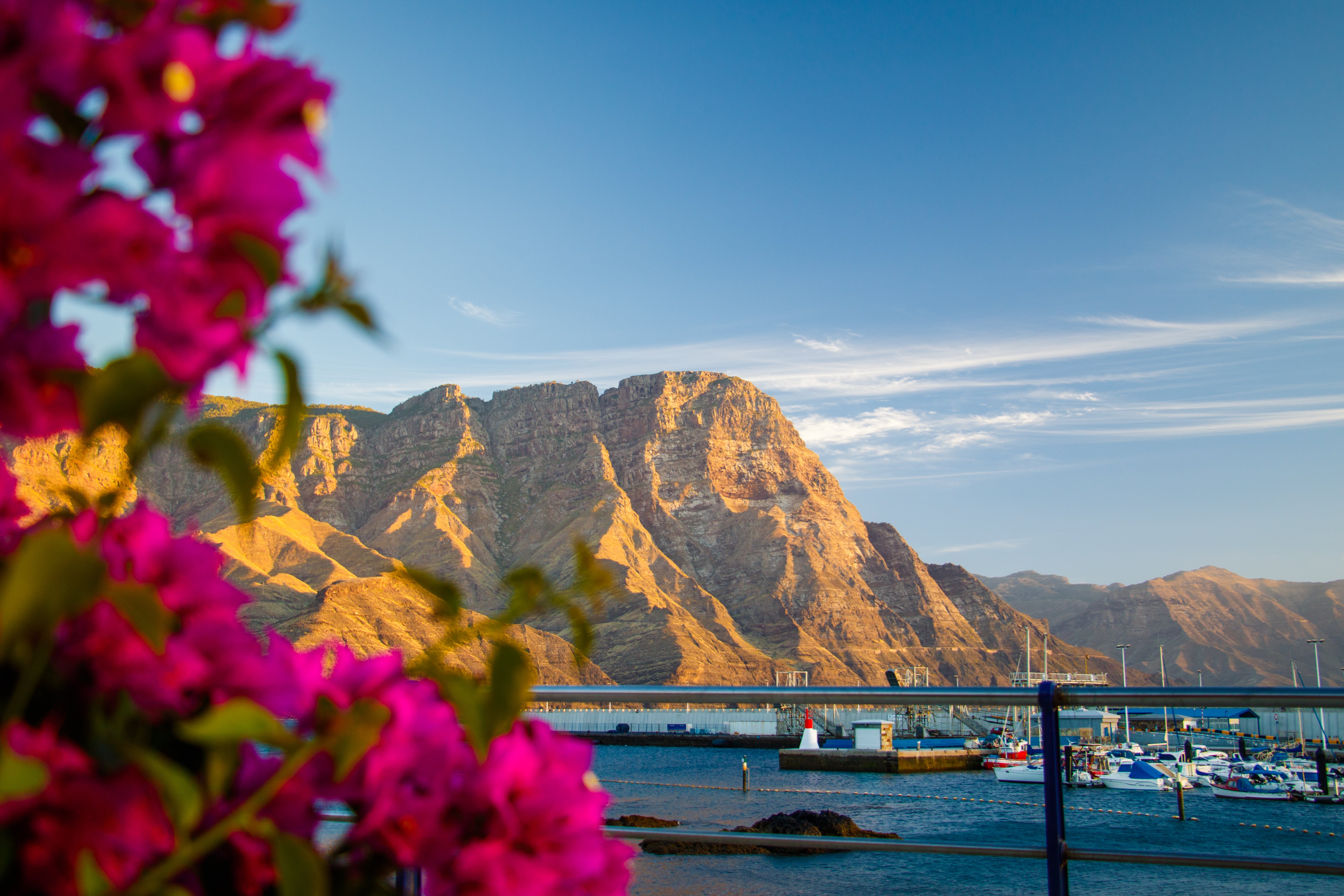 A shot of Puerto de las Nieves, Gran Canaria, with vibrant pink flowers in the foreground.