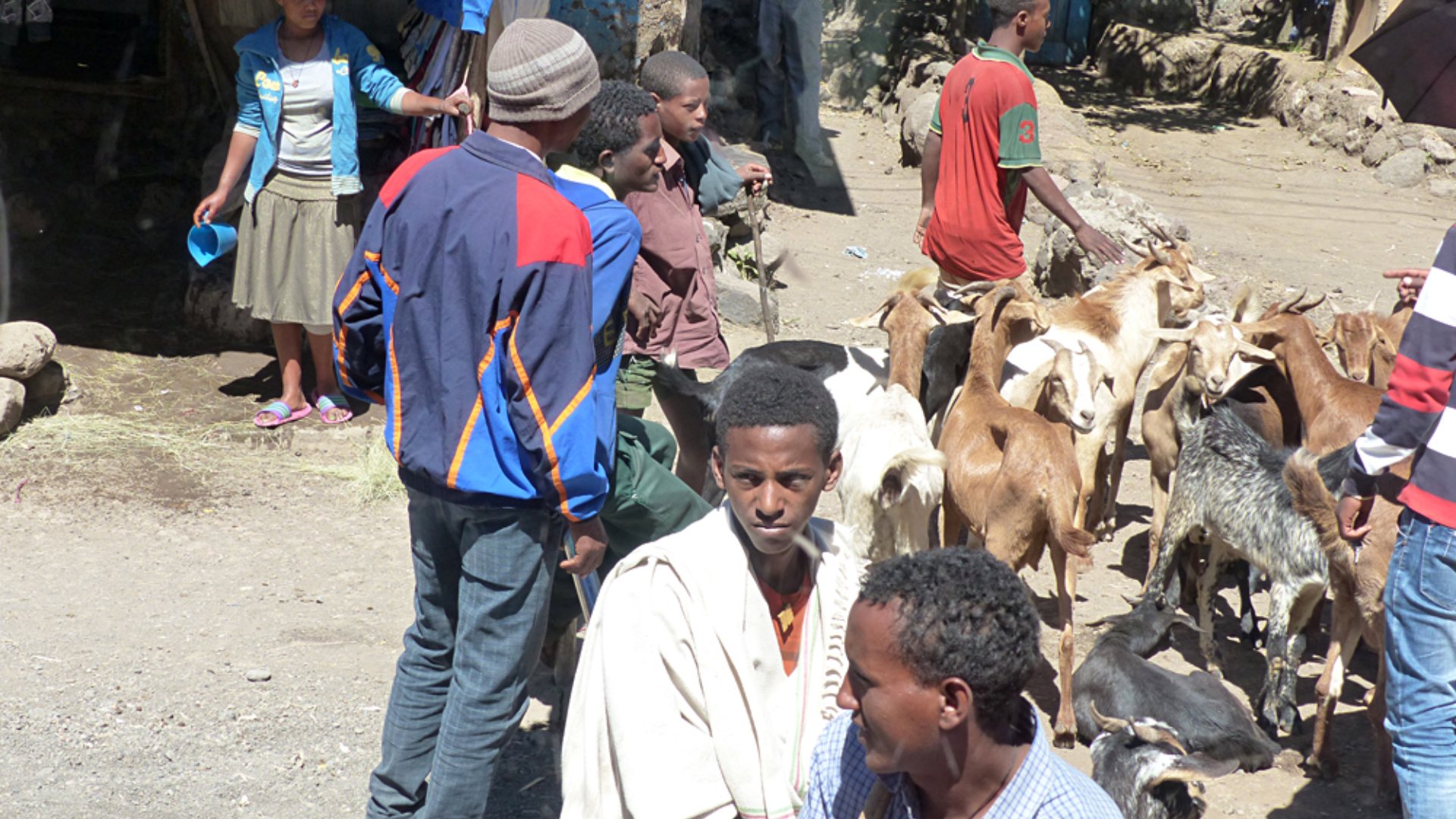 Raewyn Reid - Street Life in Lalibela, Ethiopia