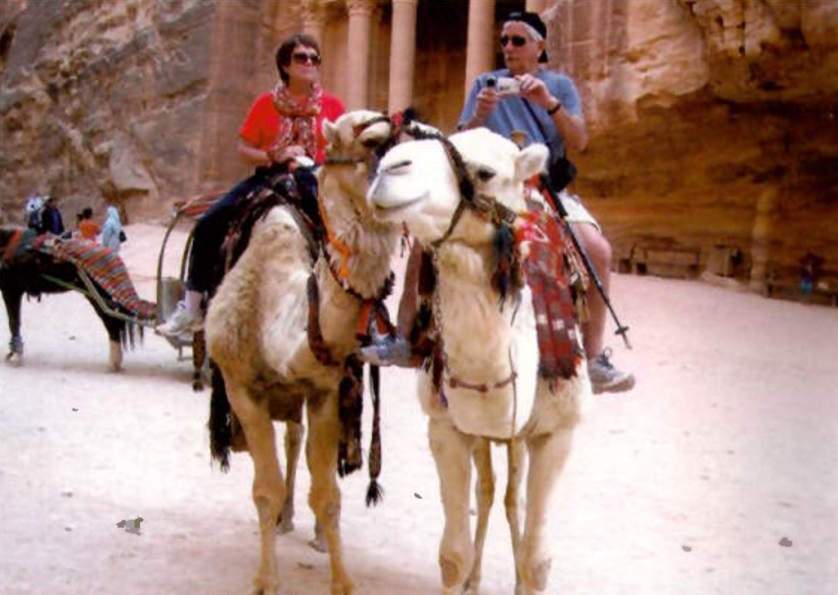 Bruce Hodge and Claire Hodge mounted on two white camels in Jordan.