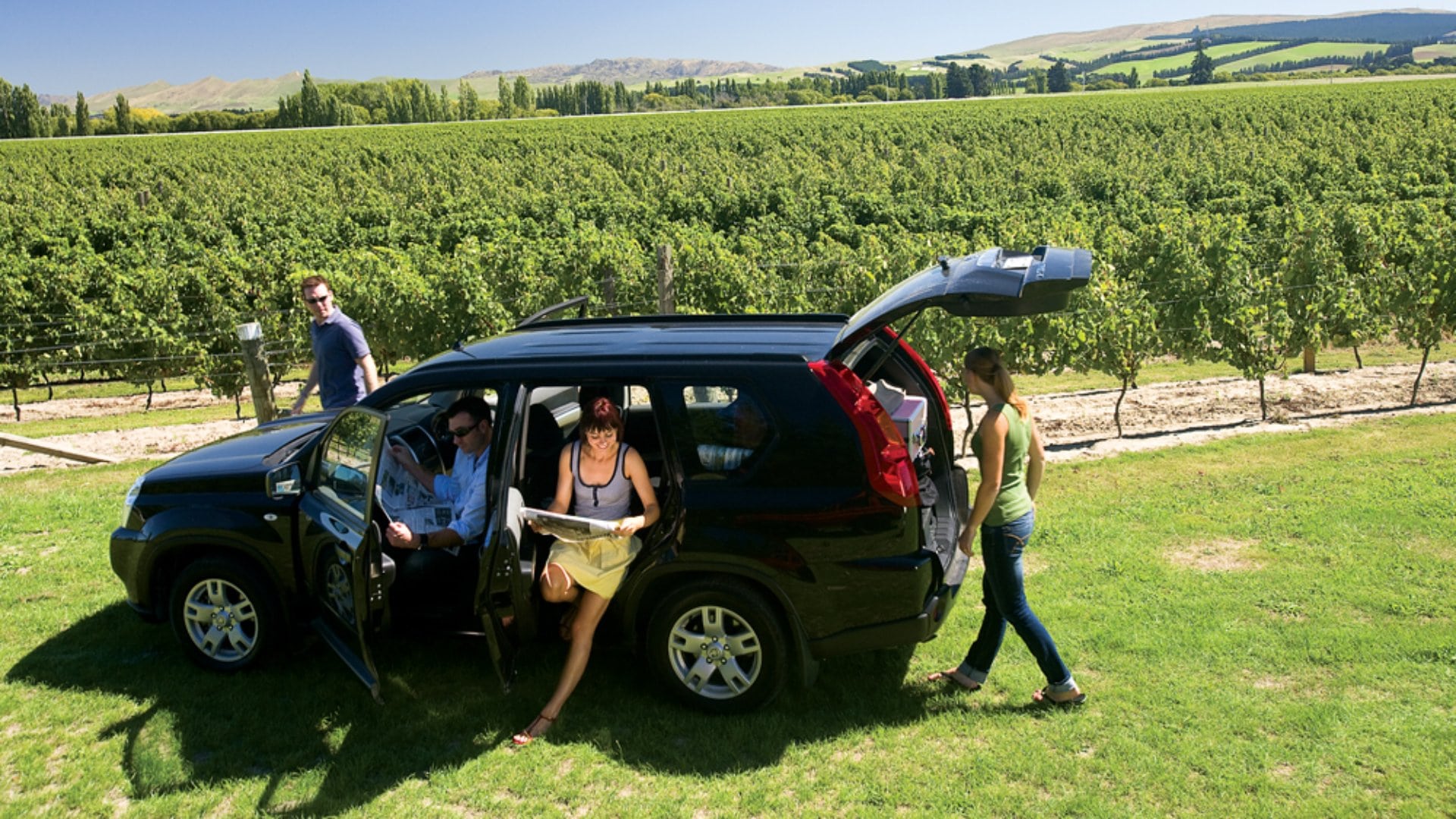 Self-Drive Through Winery in Waipara, South Island, New Zealand