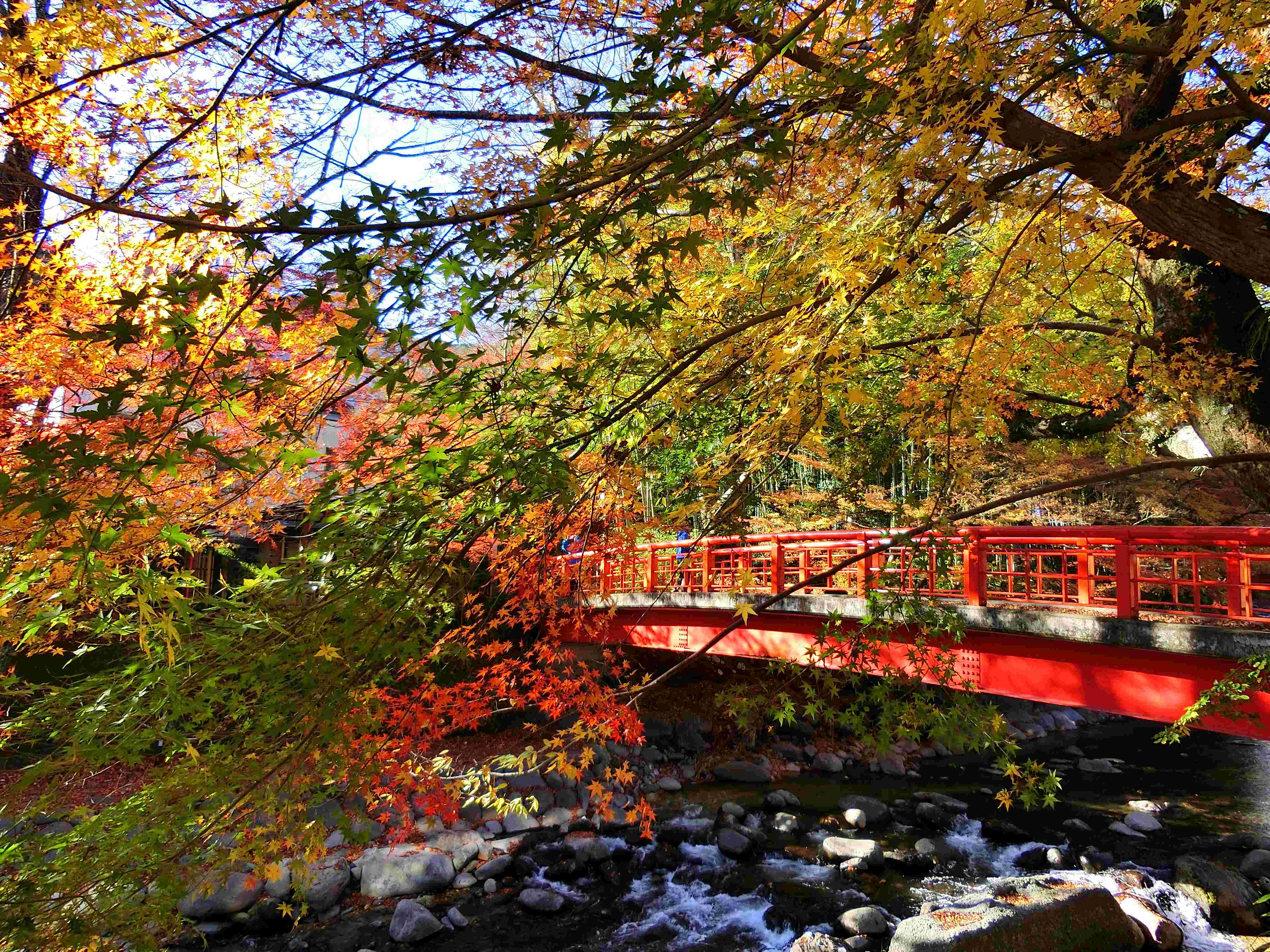 Shuzenji Onsen,  Japan, red bridge over the Katsura River