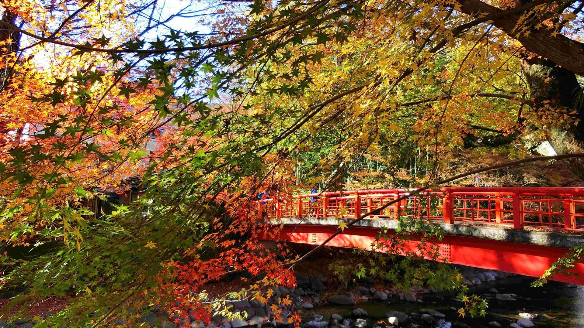 Shuzenji Onsen,  Japan, red bridge over the Katsura River