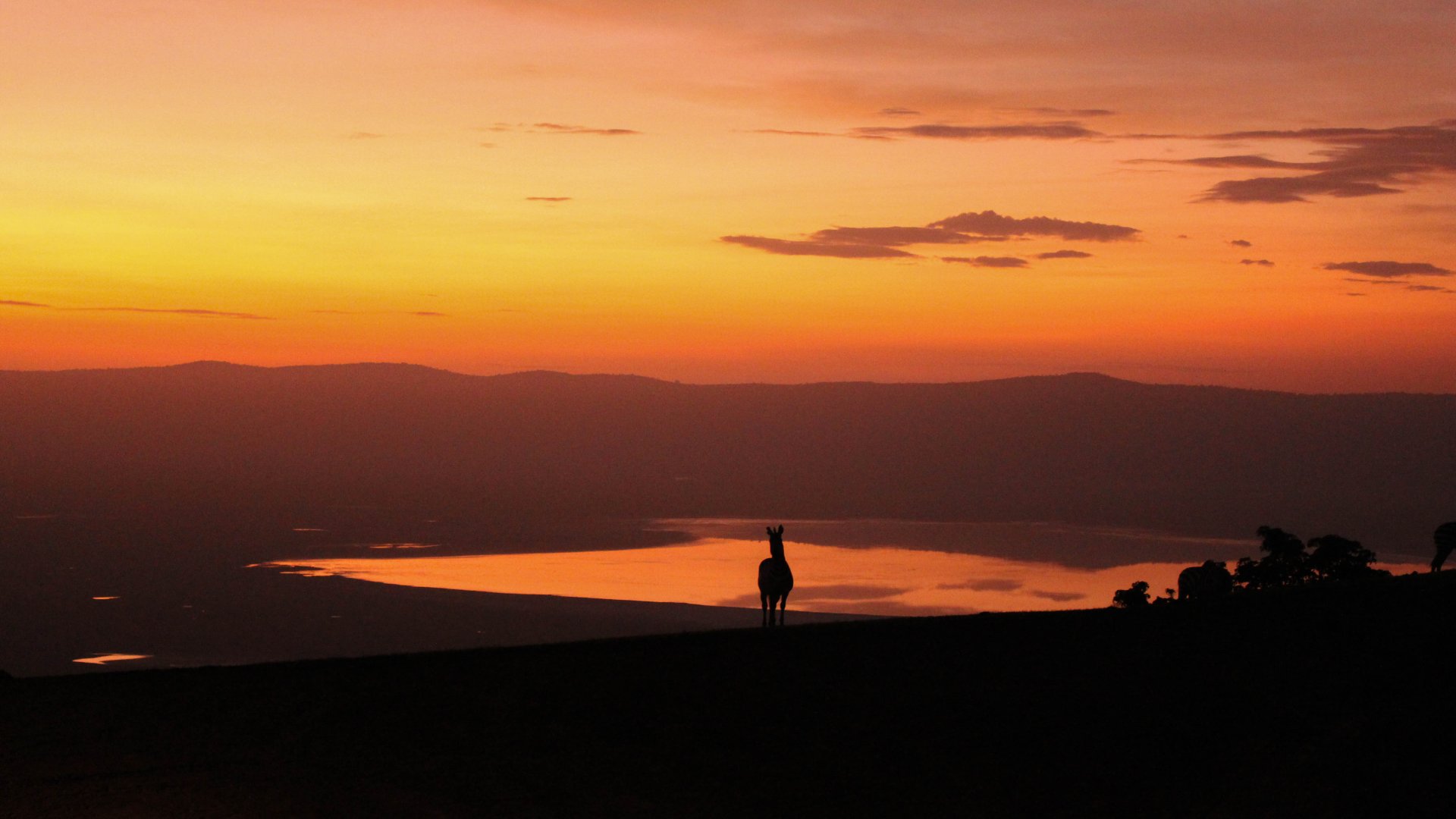 Sundown over the Ngorogoro Crater with Zebra