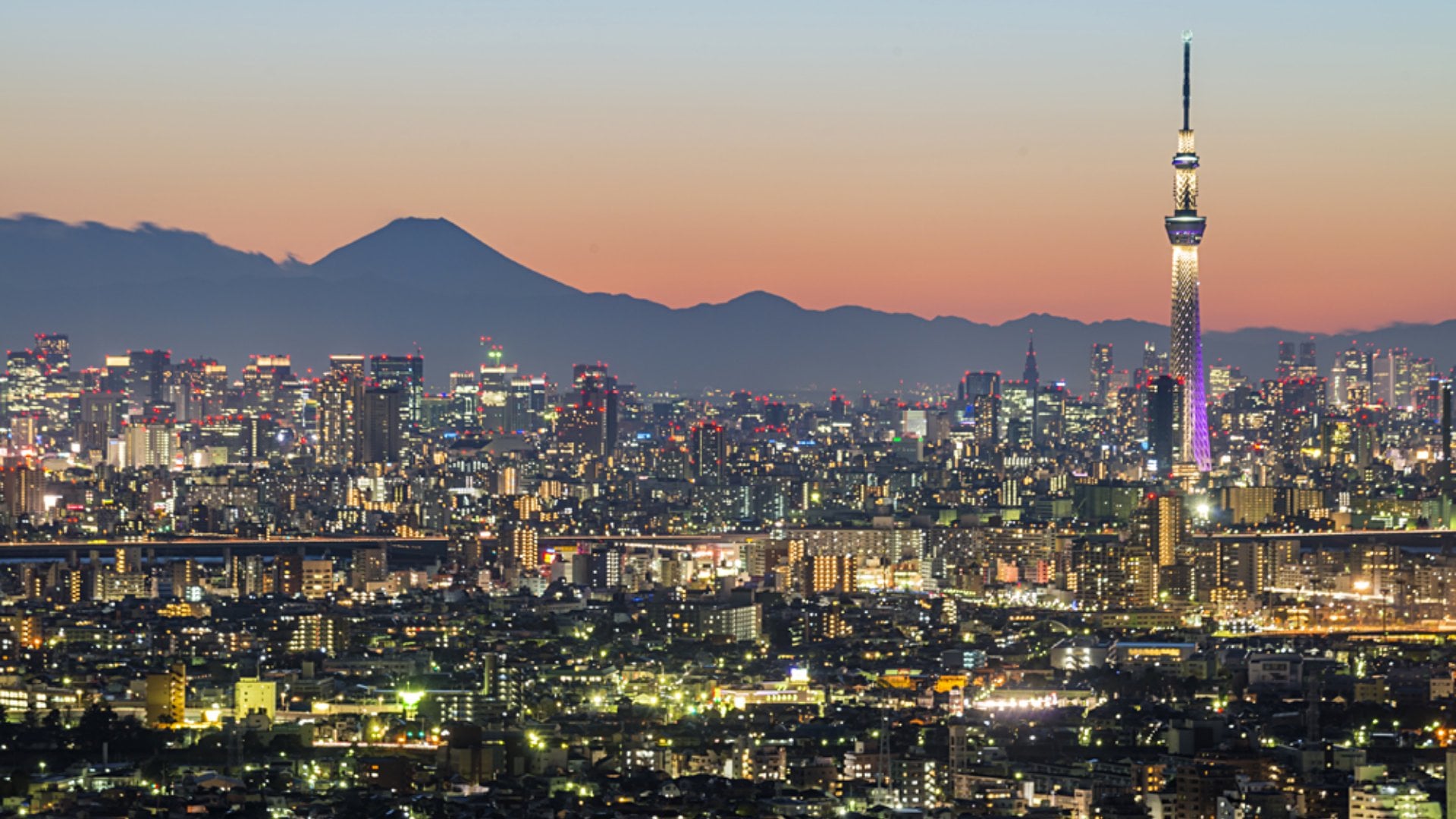 Tokyo city and Skytree with Mt Fuji in the background, Japan
