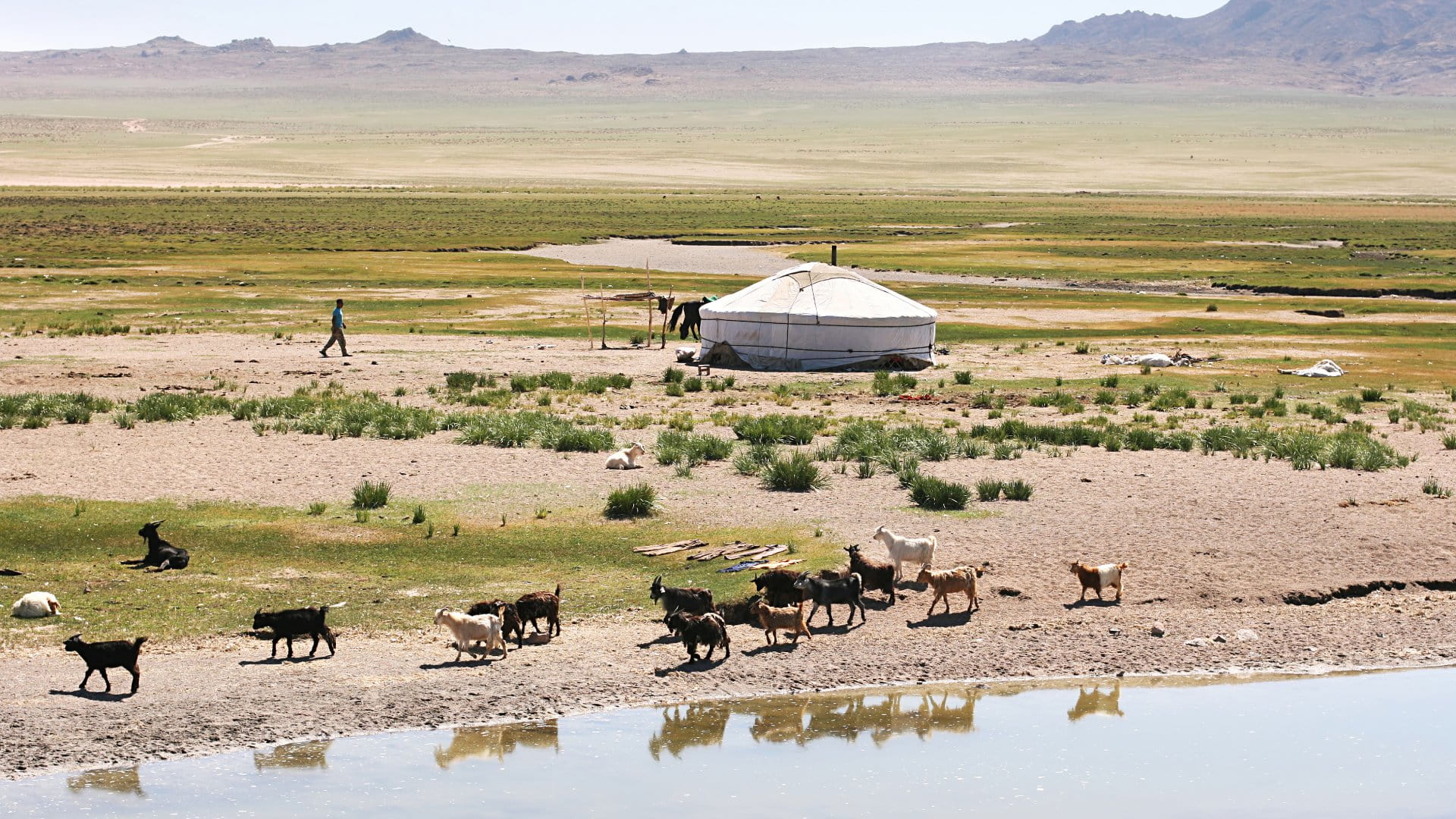 Traditional Mongolian landscape