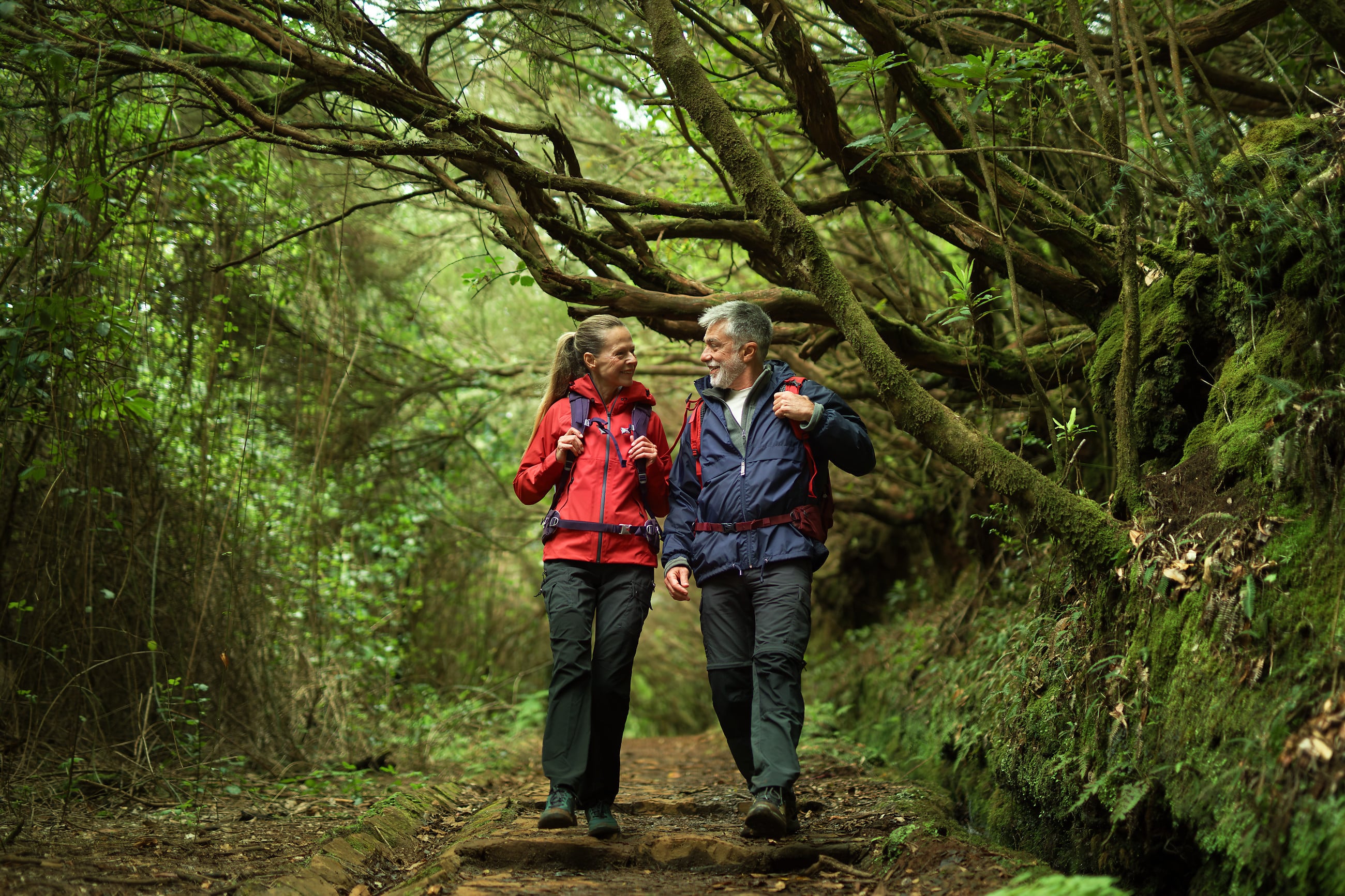 A man and woman in hiking gear trekking through the Laurisilva Forest in Madeia, Portugal.