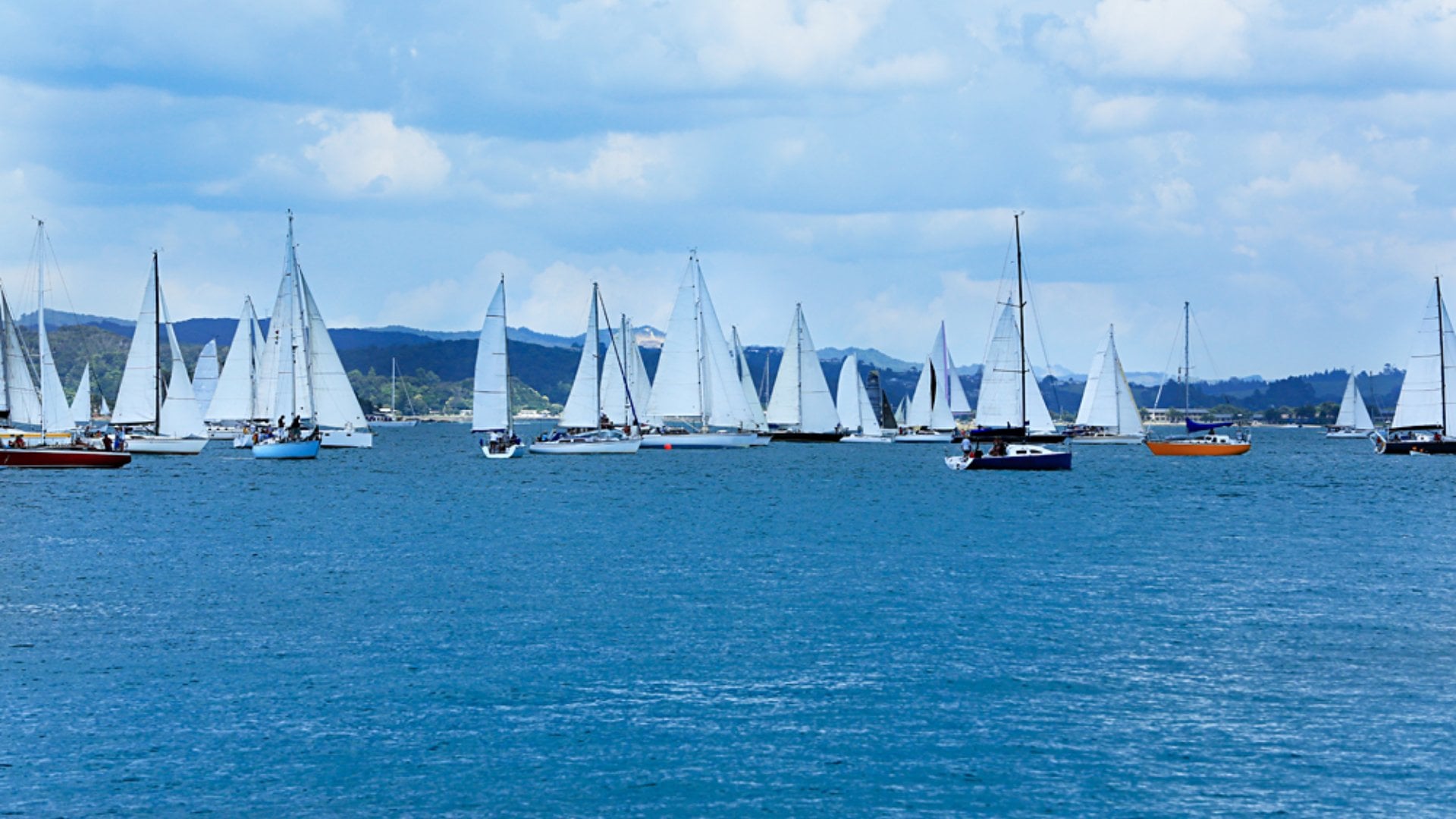 View of Boats at the Harbour in Russell, Bay of Islands, New Zealand