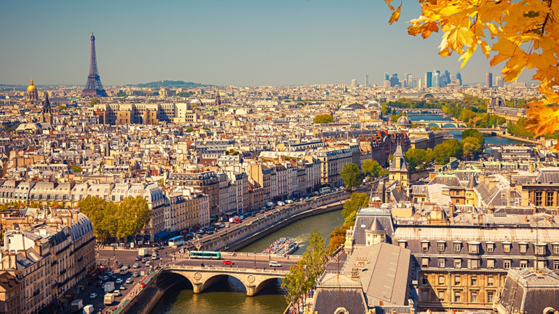 View of Paris from Notre Dame in Autumn, France