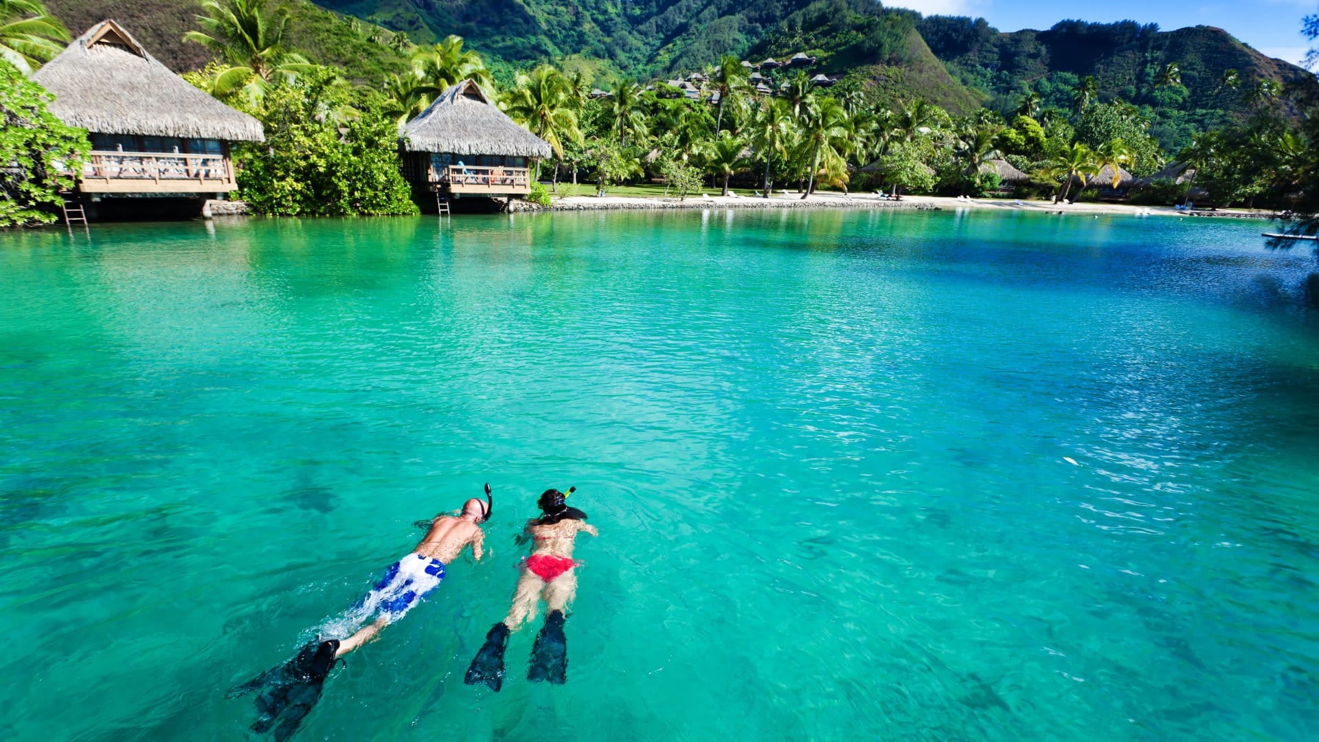 Young couple snorkeling in clean water over coral