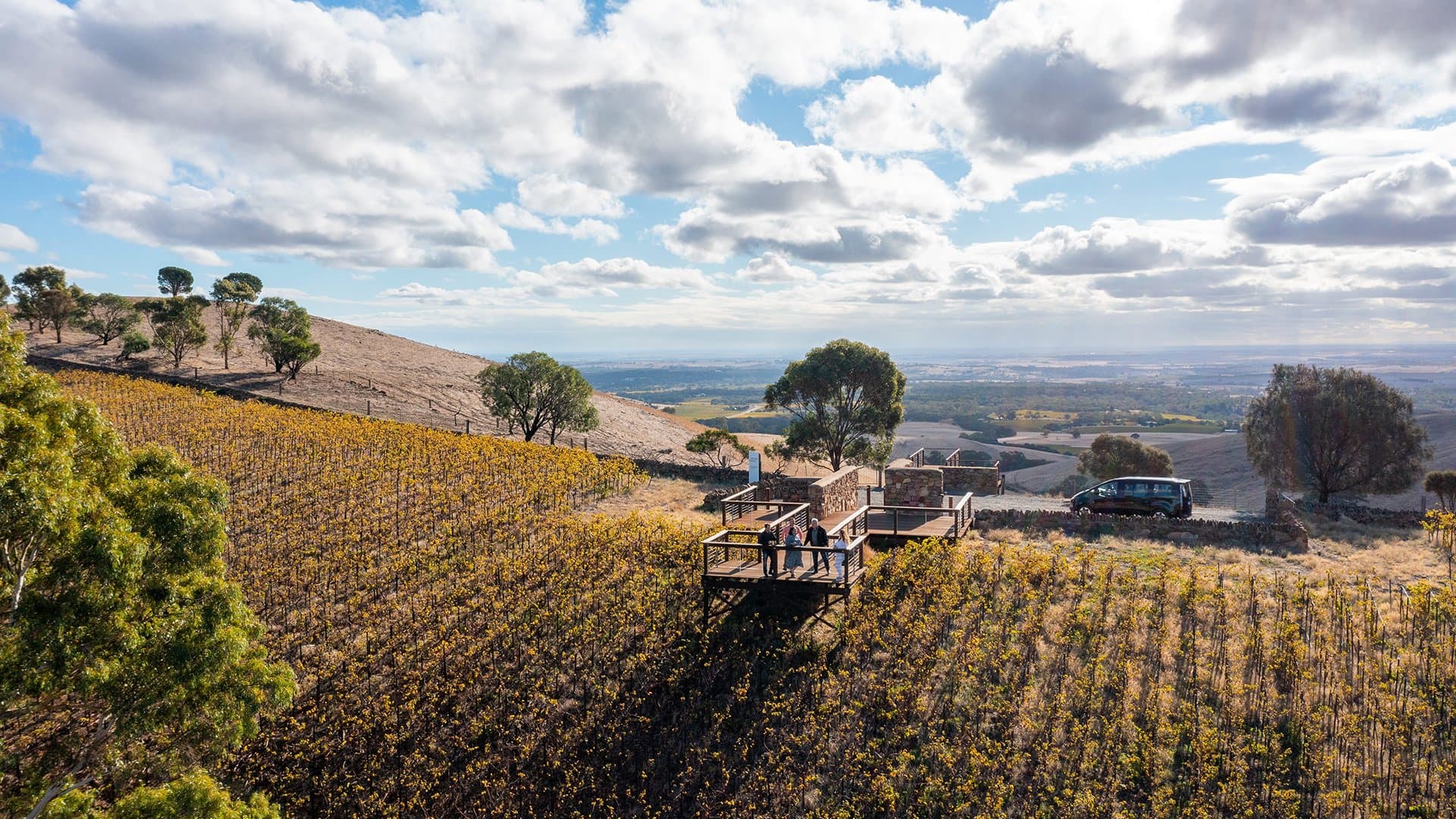 A group of people overlooking a vineyard in Barossa Valley from a suspended balcony