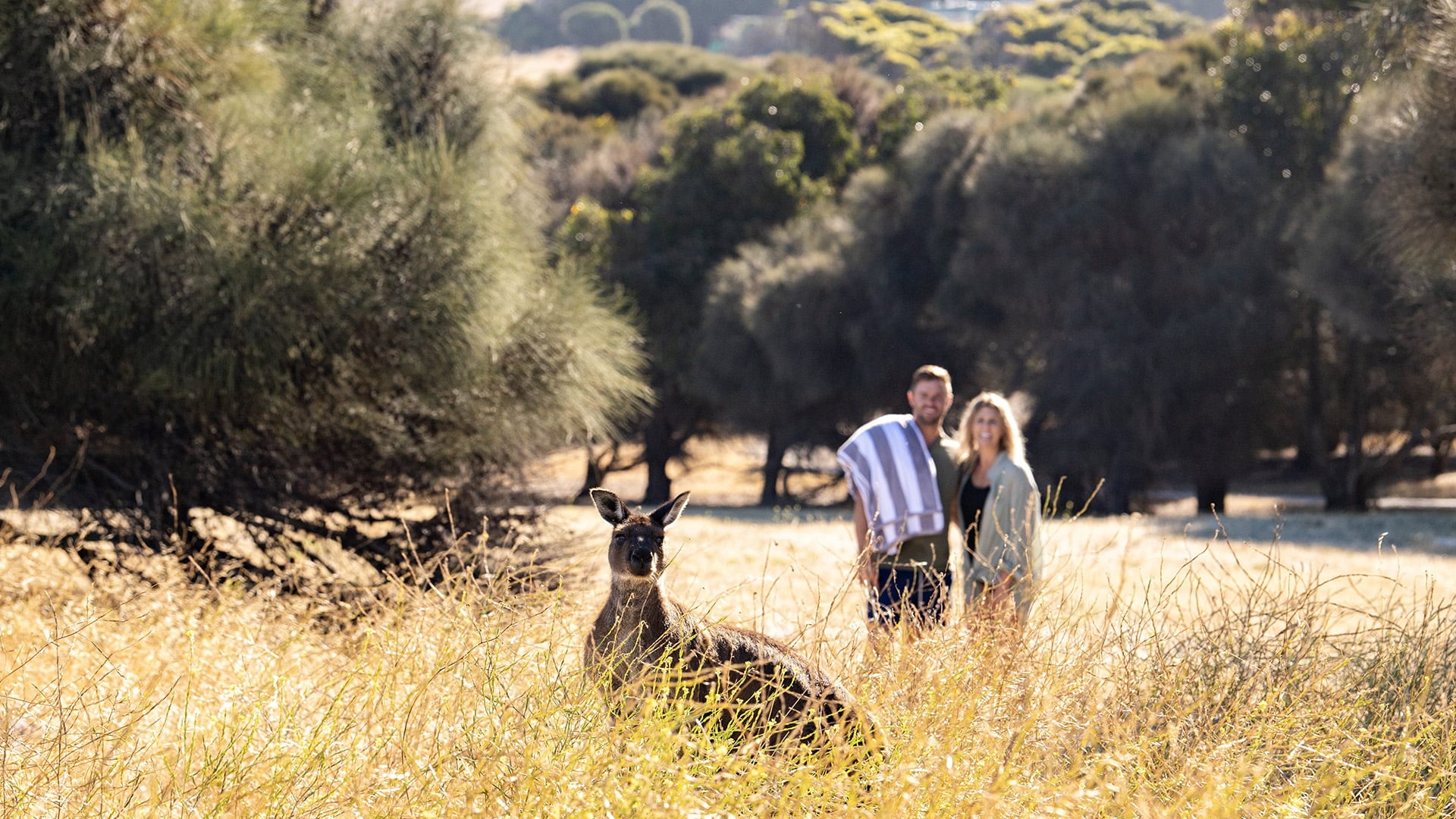 A couple looking at a kangaroo hiding in tall grass