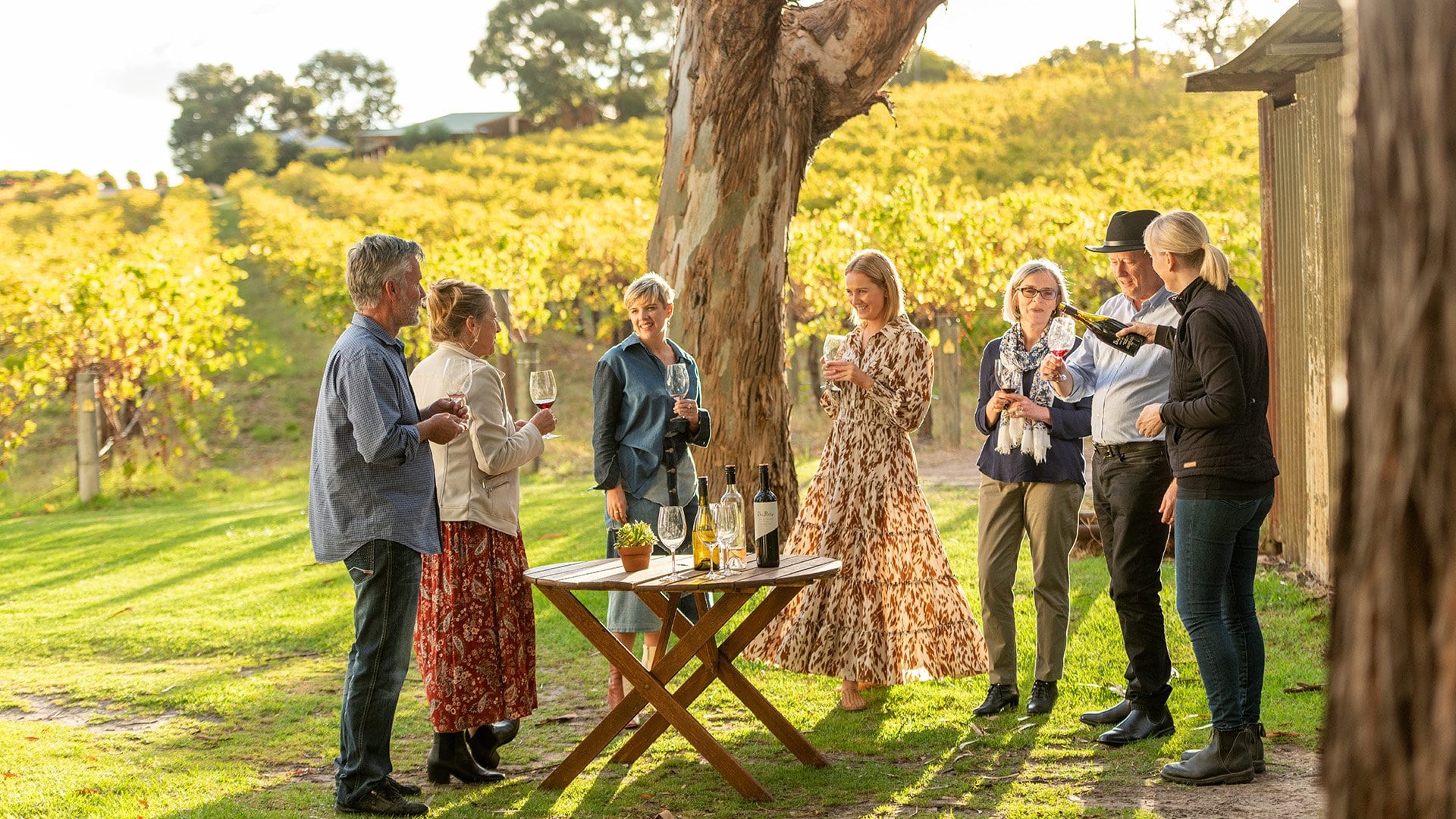 A group of people drinking wine outdoors next in a vineyard