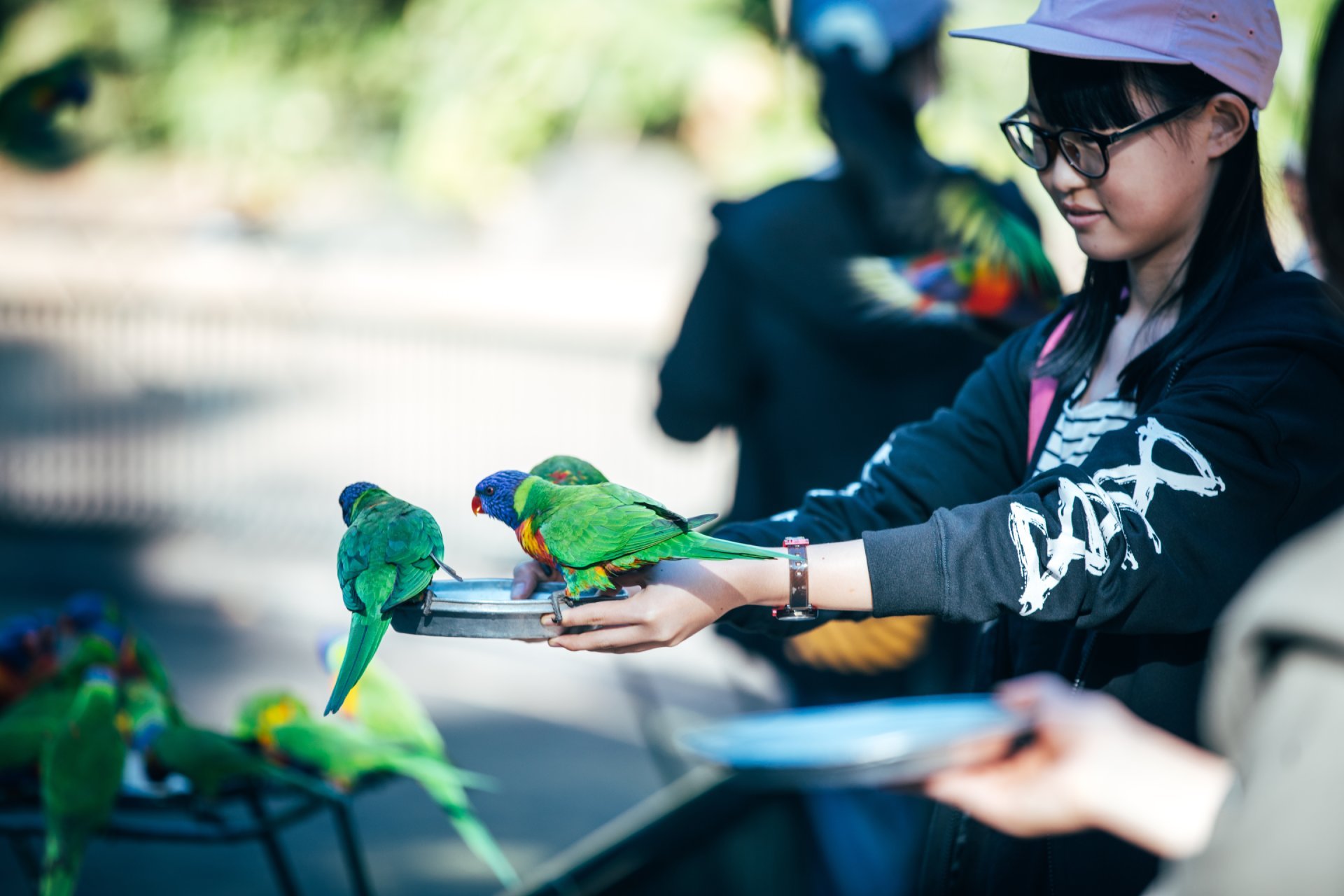 girl holding several parrots who are eating from a dish