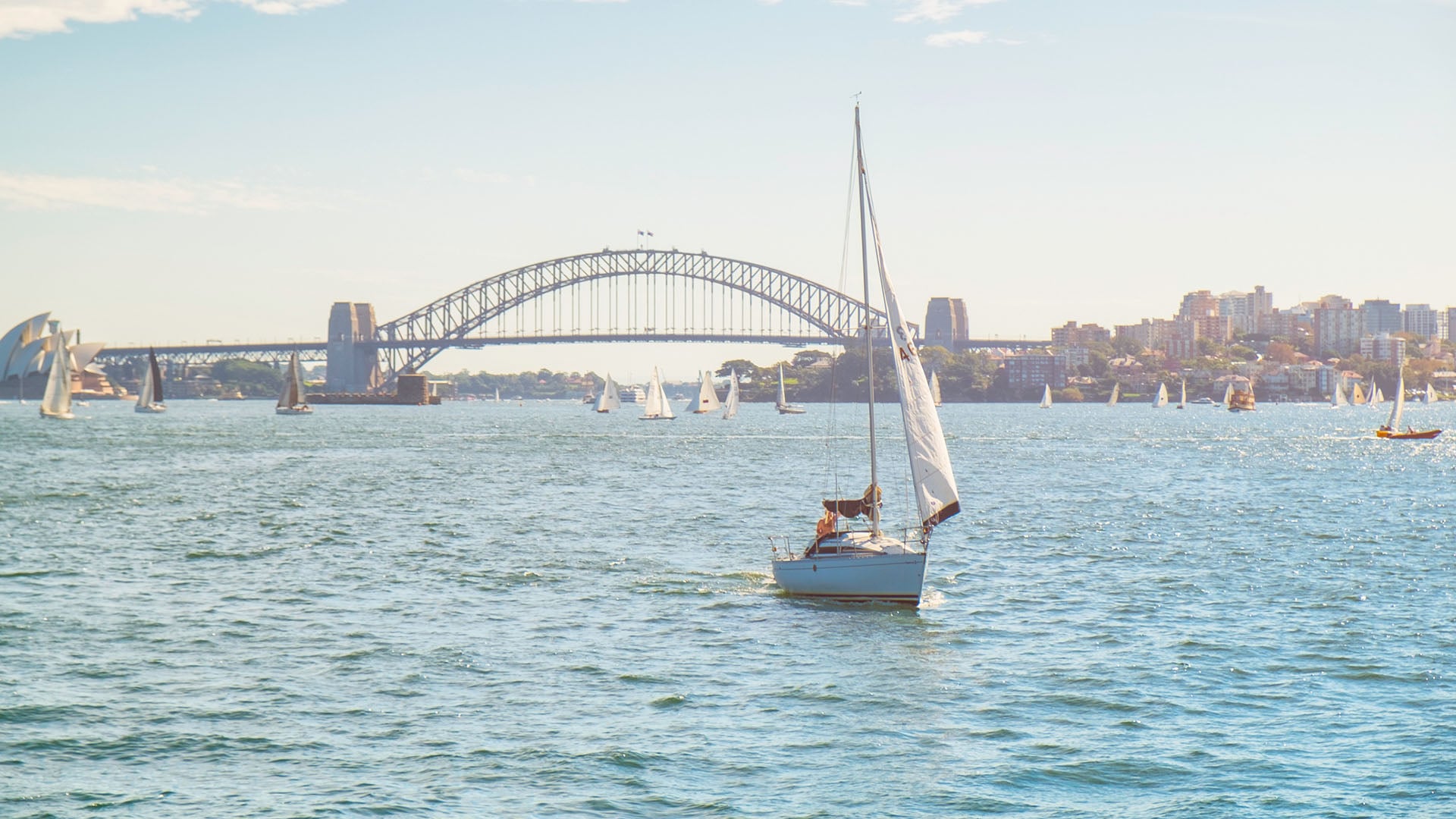 A sail boat on Sydney Harbour with the Sydney Harbour Bridge in the background