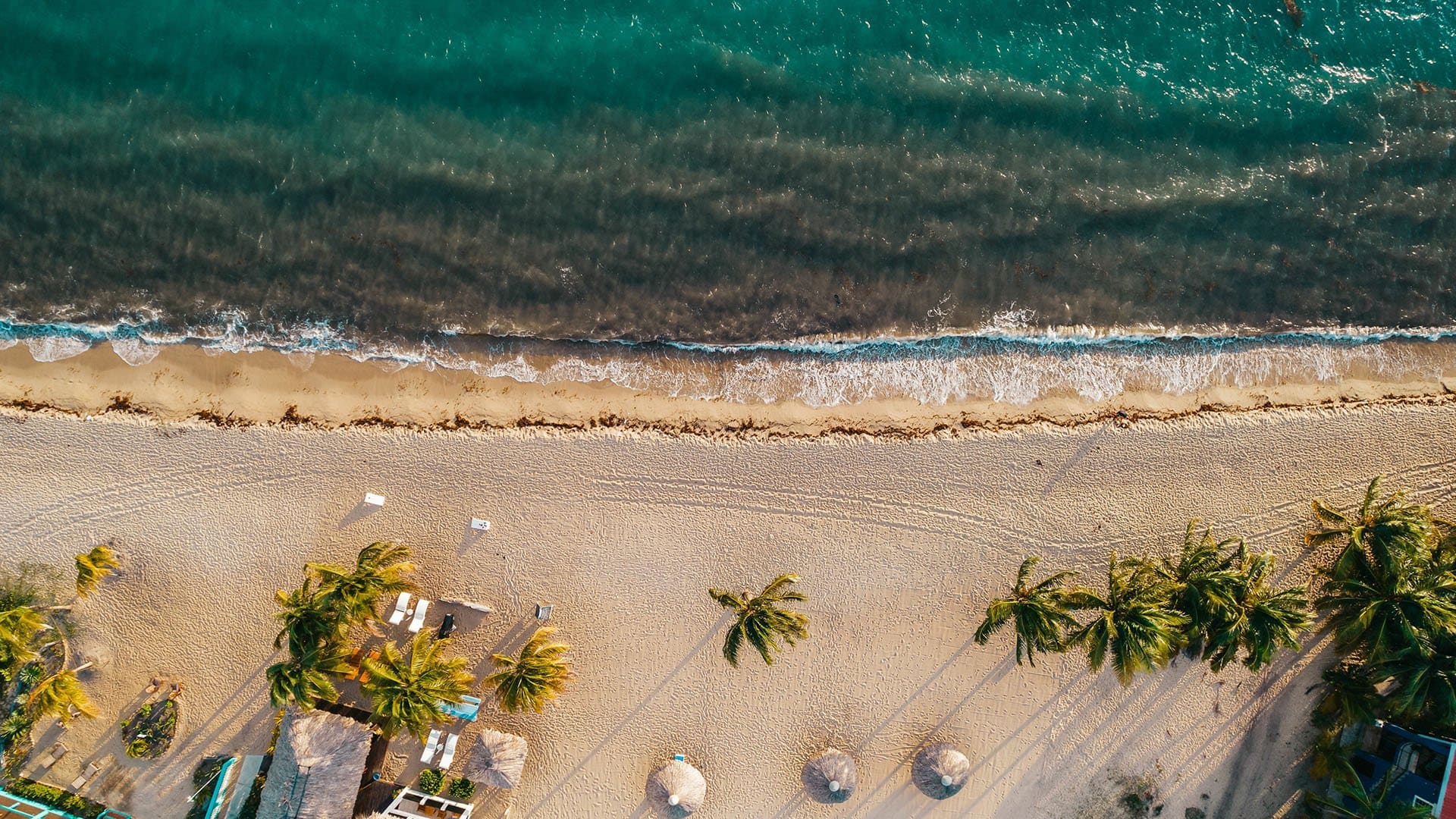 aerial view of palm trees and umbrellas from high above a pristine beach in Belize