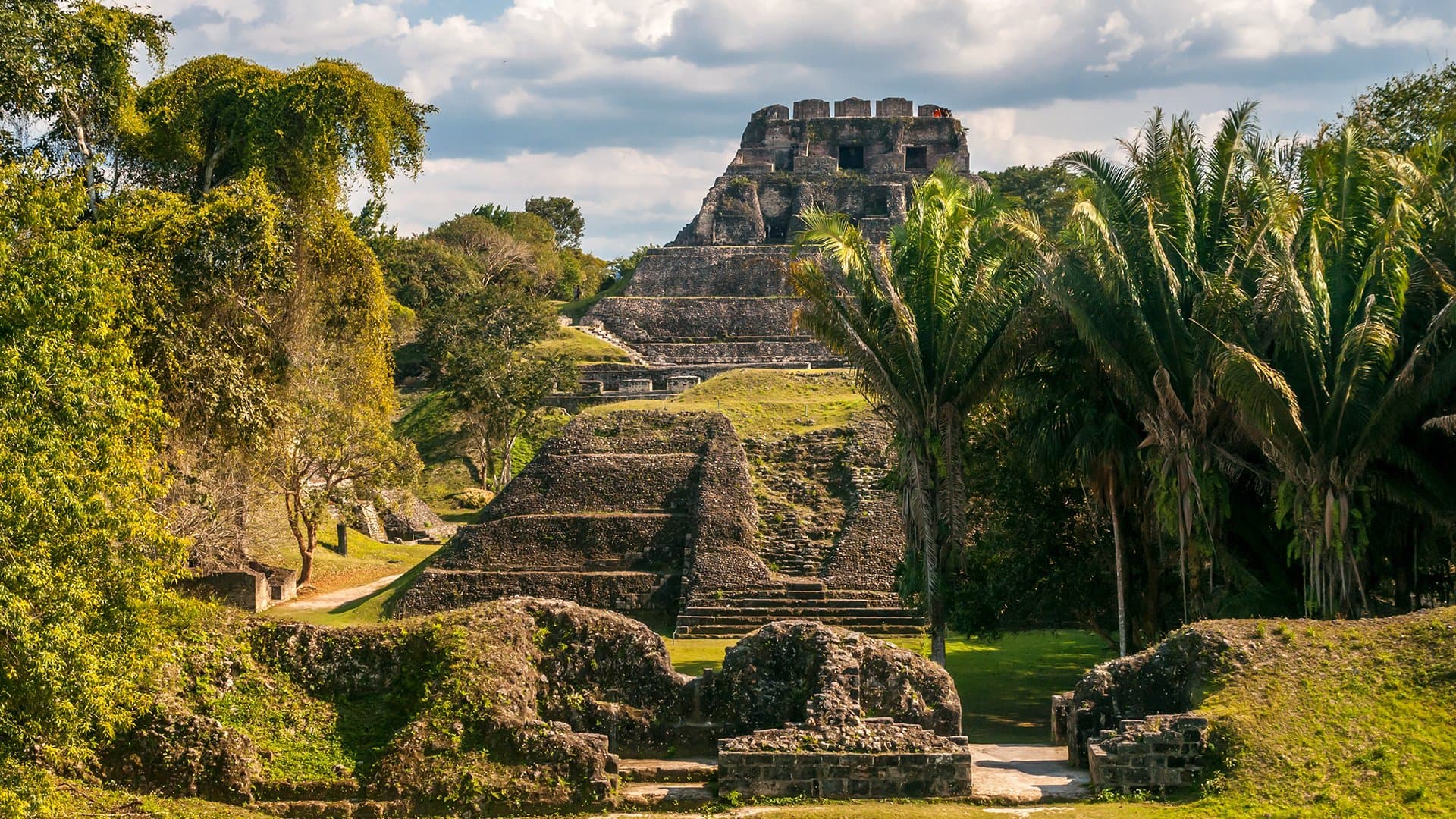 Stairways leading to the Xunantunich Mayan Ruins, overgrown with lush green plants and trees