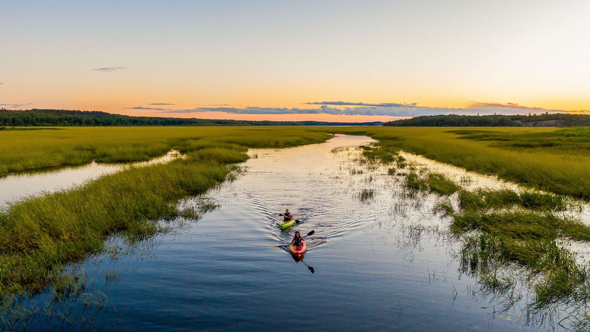 people kayaking through water surrounding by green reeds