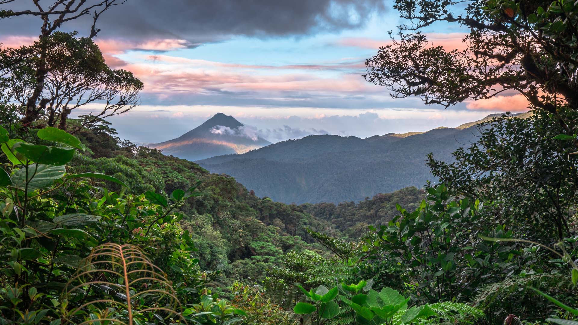 Arenal Volcano above a rainforest canopy in Costa Rica
