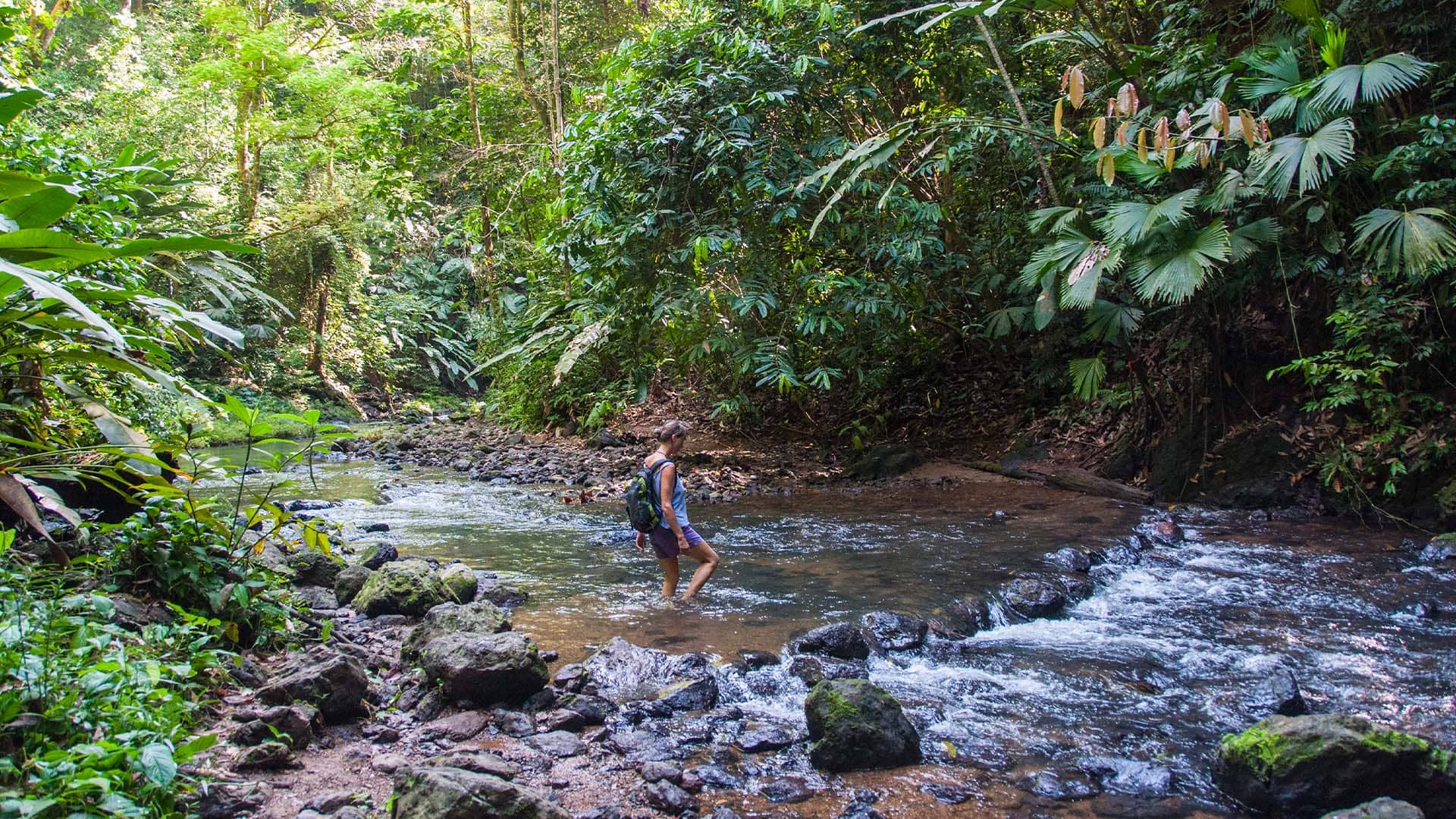 A woman walks through a river in the rainforest in the Osa Peninsula in Costa Rica
